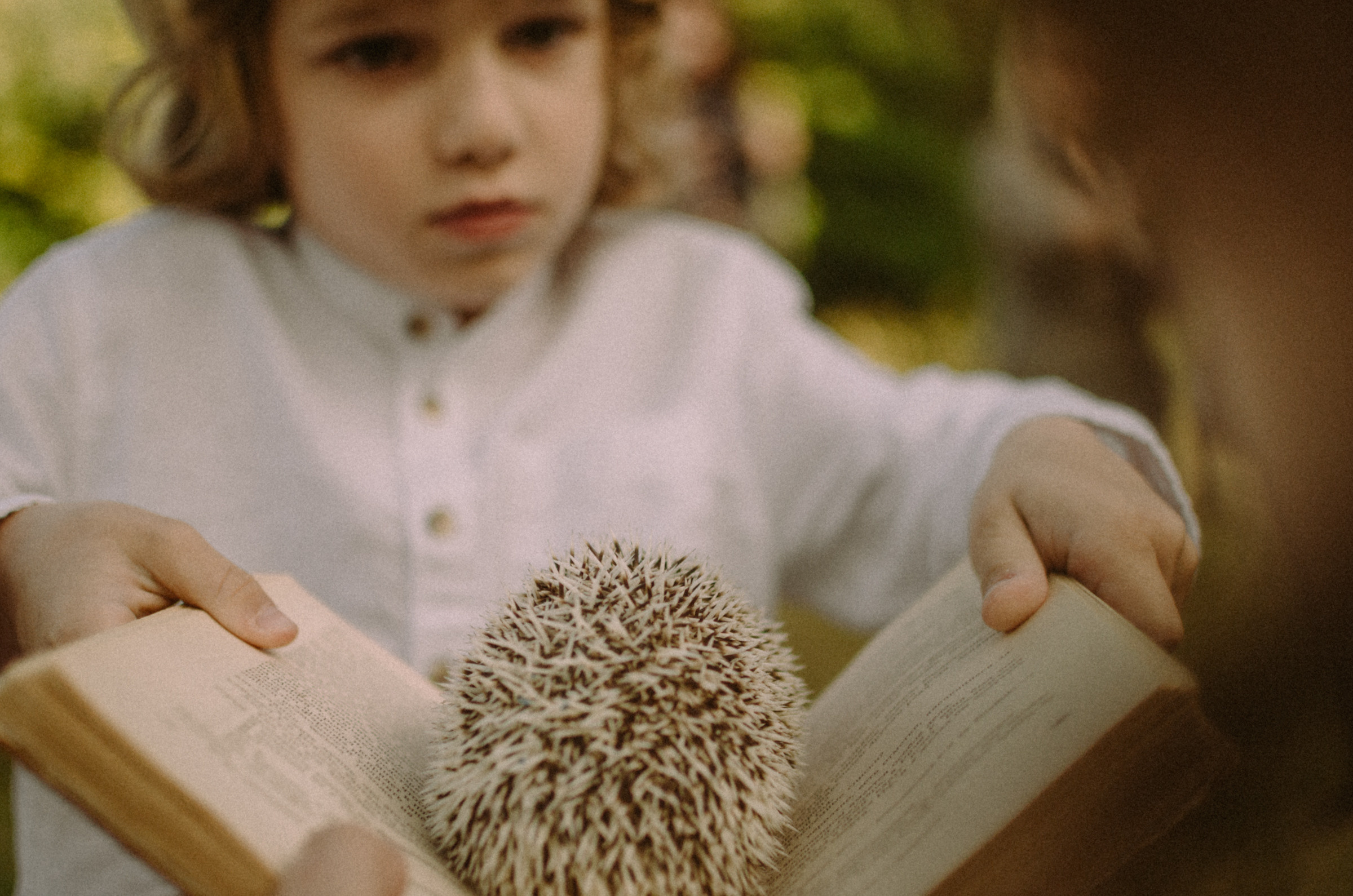 Осень, дети. Ваш Семейный Фотограф Москва