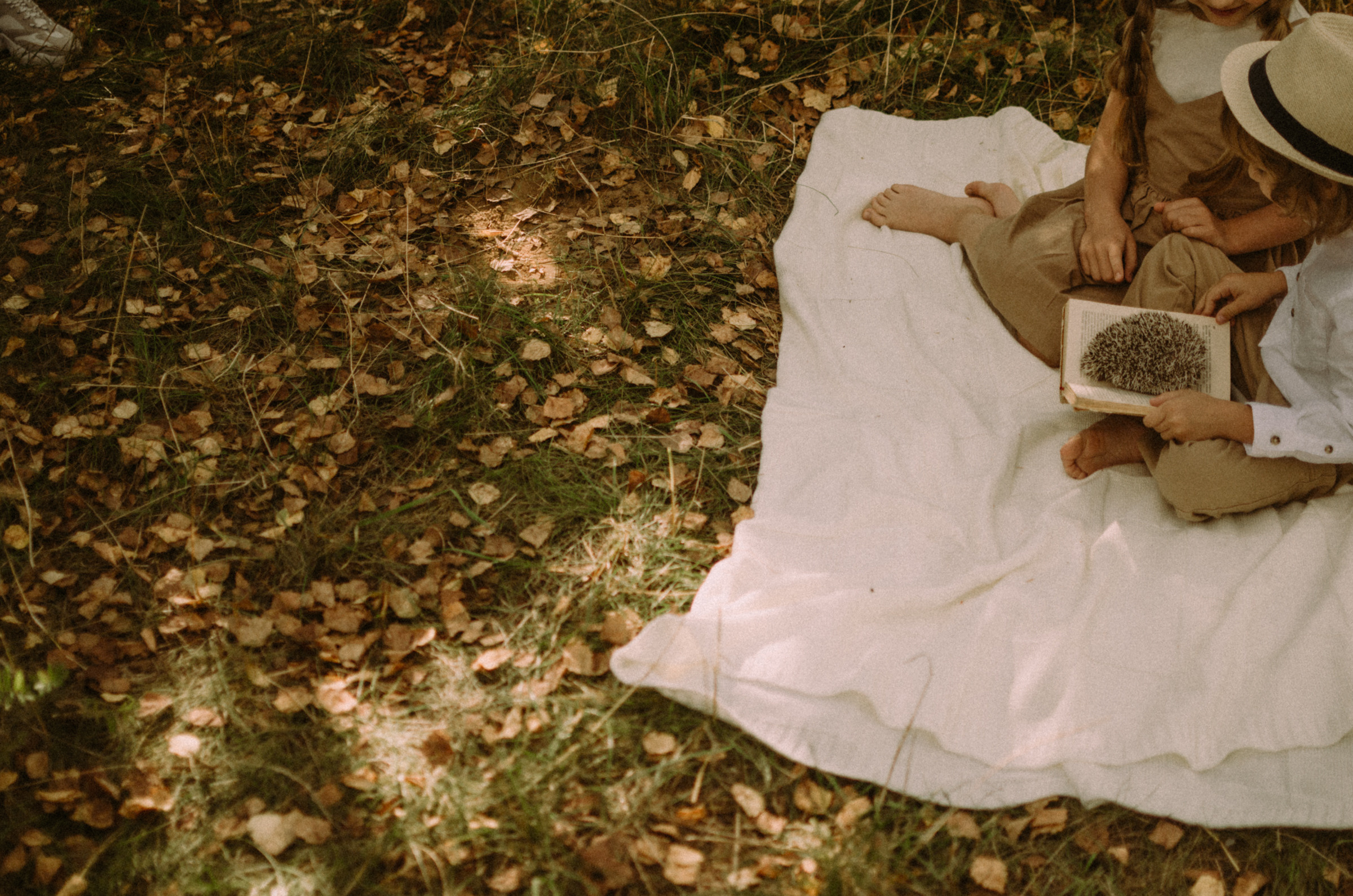 Осень, дети. Ваш Семейный Фотограф Москва