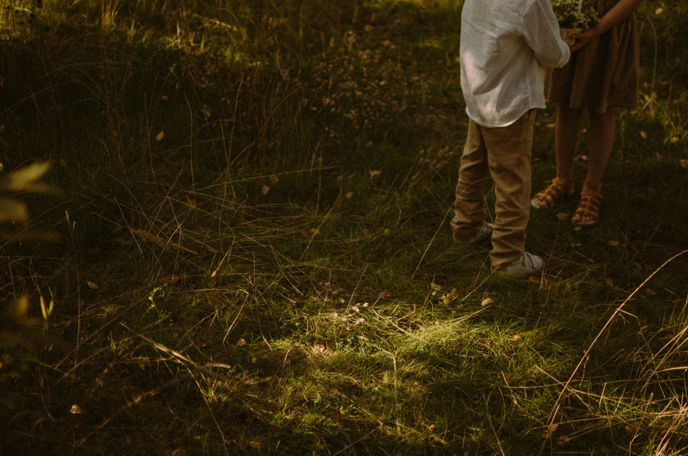 Осень, дети. Ваш Семейный Фотограф Москва