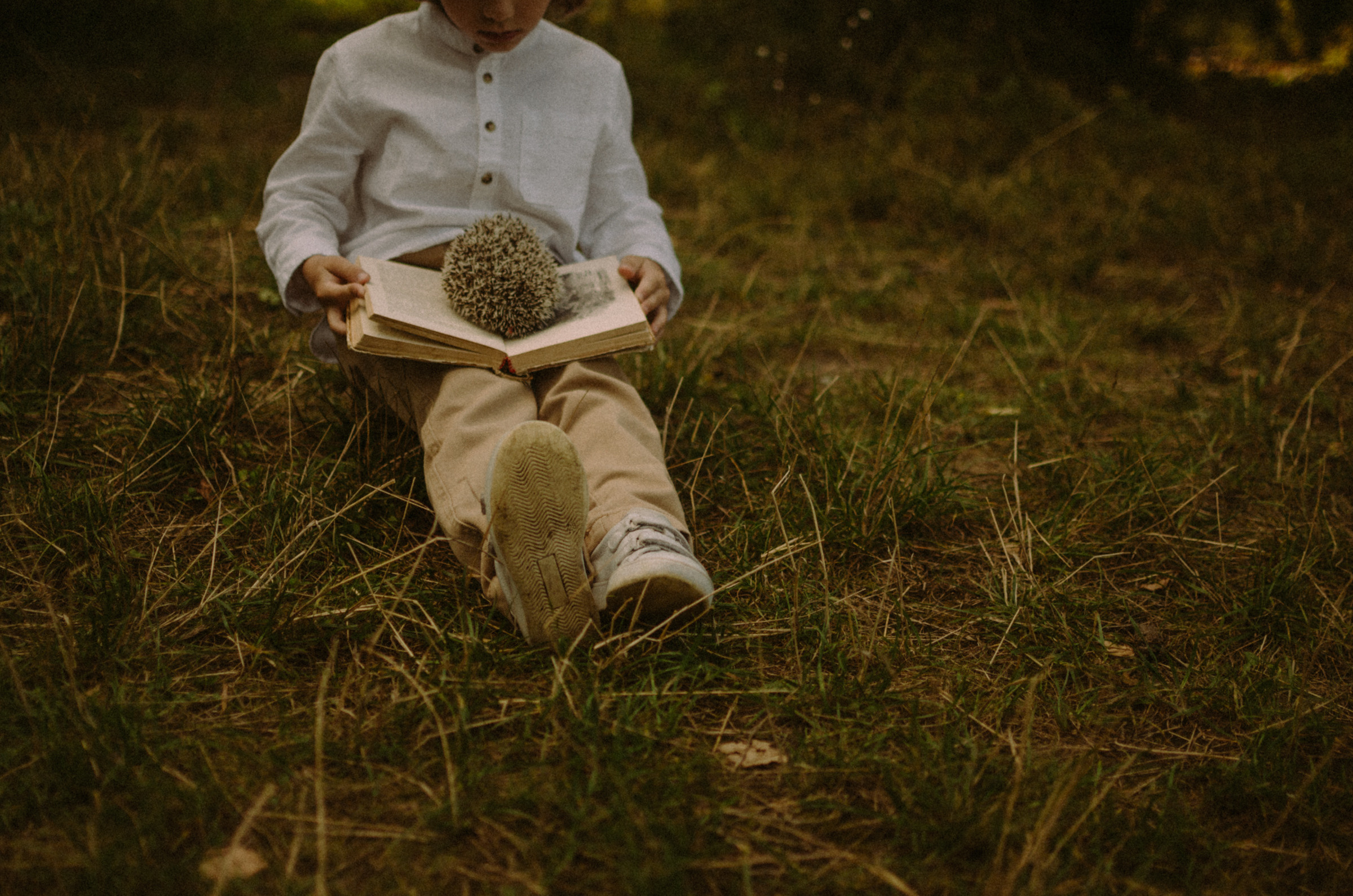 Осень, дети. Ваш Семейный Фотограф Москва
