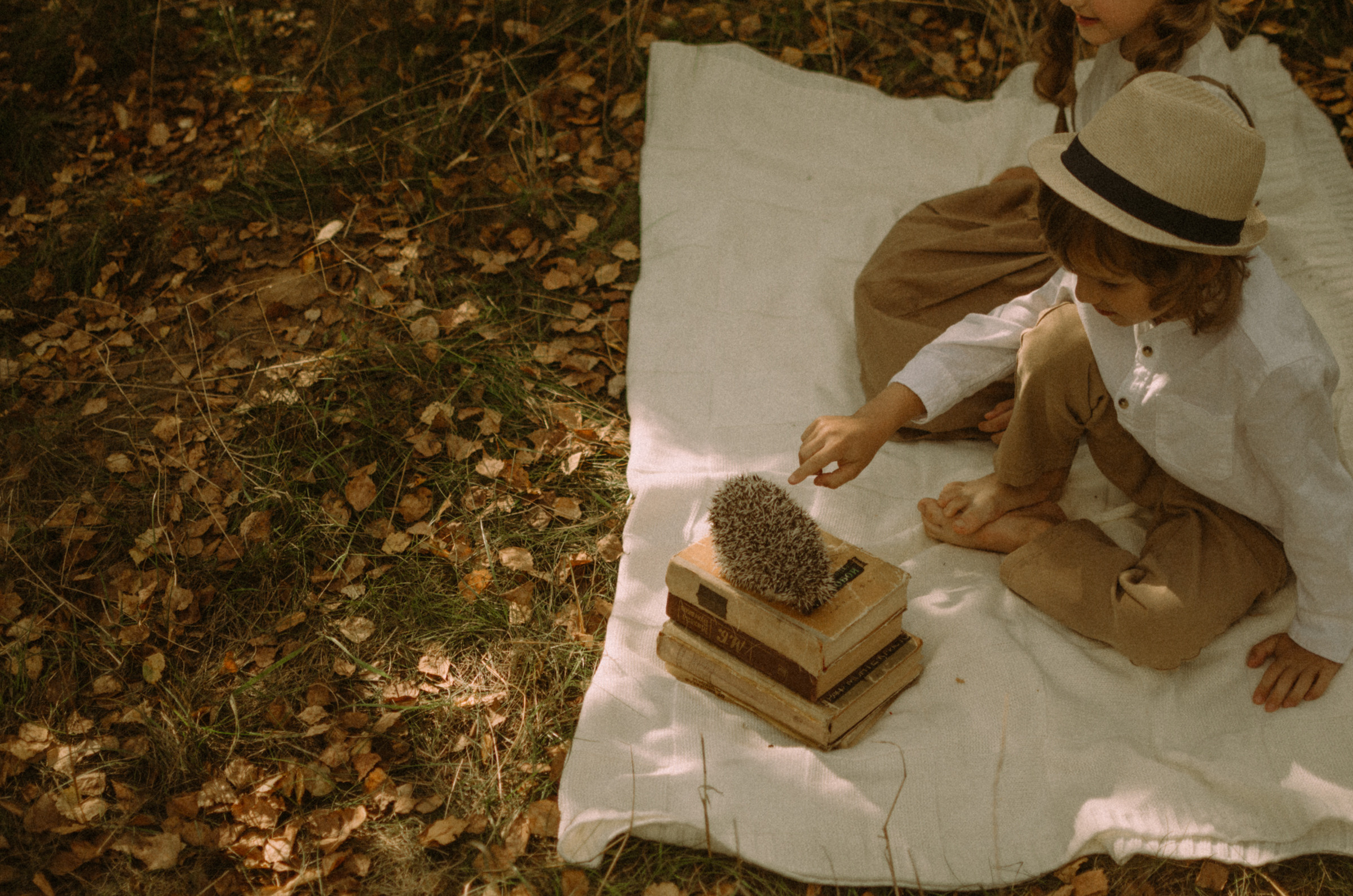 Осень, дети. Ваш Семейный Фотограф Москва