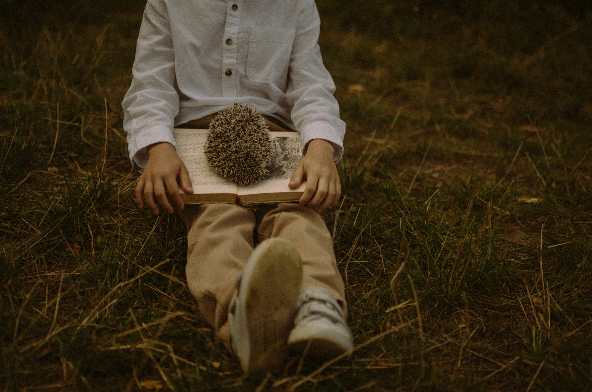 Осень, дети. Ваш Семейный Фотограф Москва