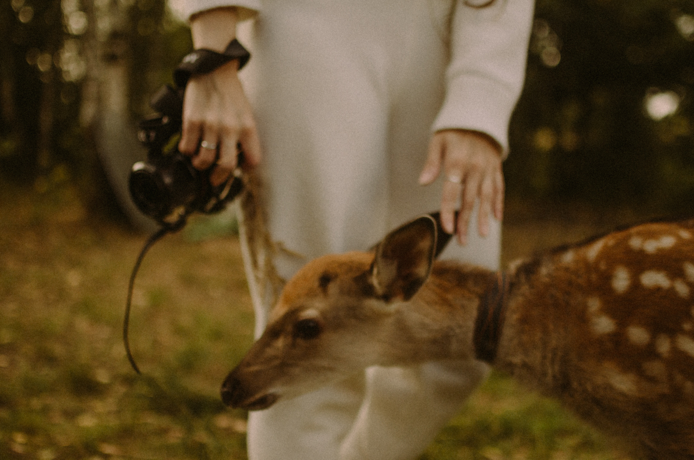 Осень, дети. Ваш Семейный Фотограф Москва