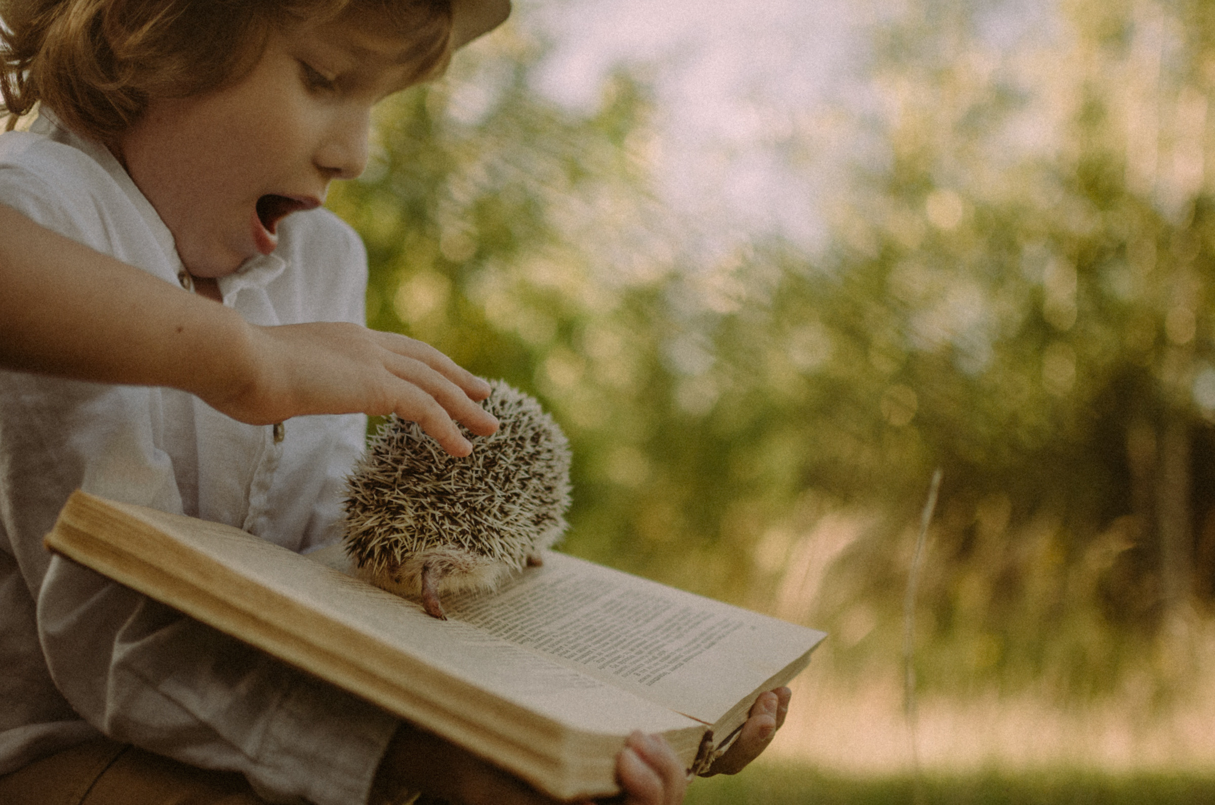 Осень, дети. Ваш Семейный Фотограф Москва