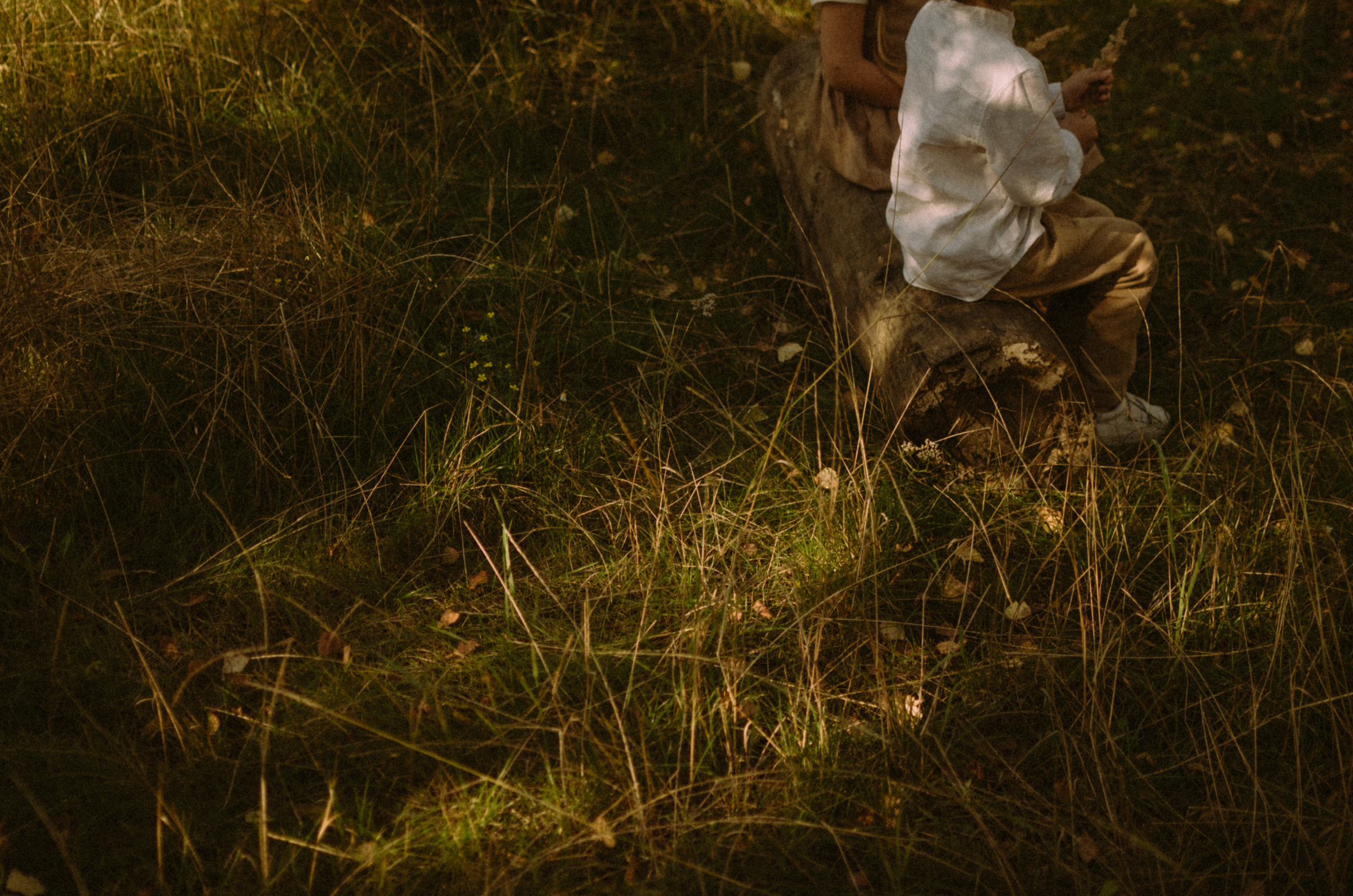 Осень, дети. Ваш Семейный Фотограф Москва