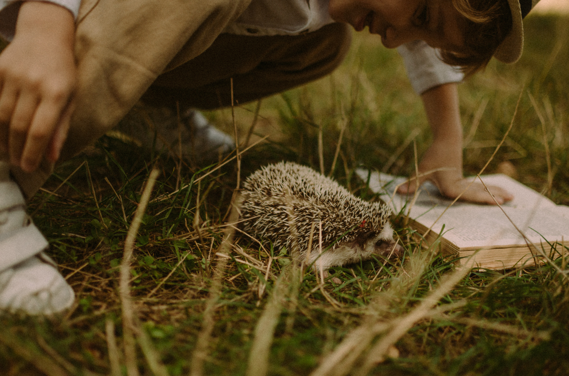 Осень, дети. Ваш Семейный Фотограф Москва