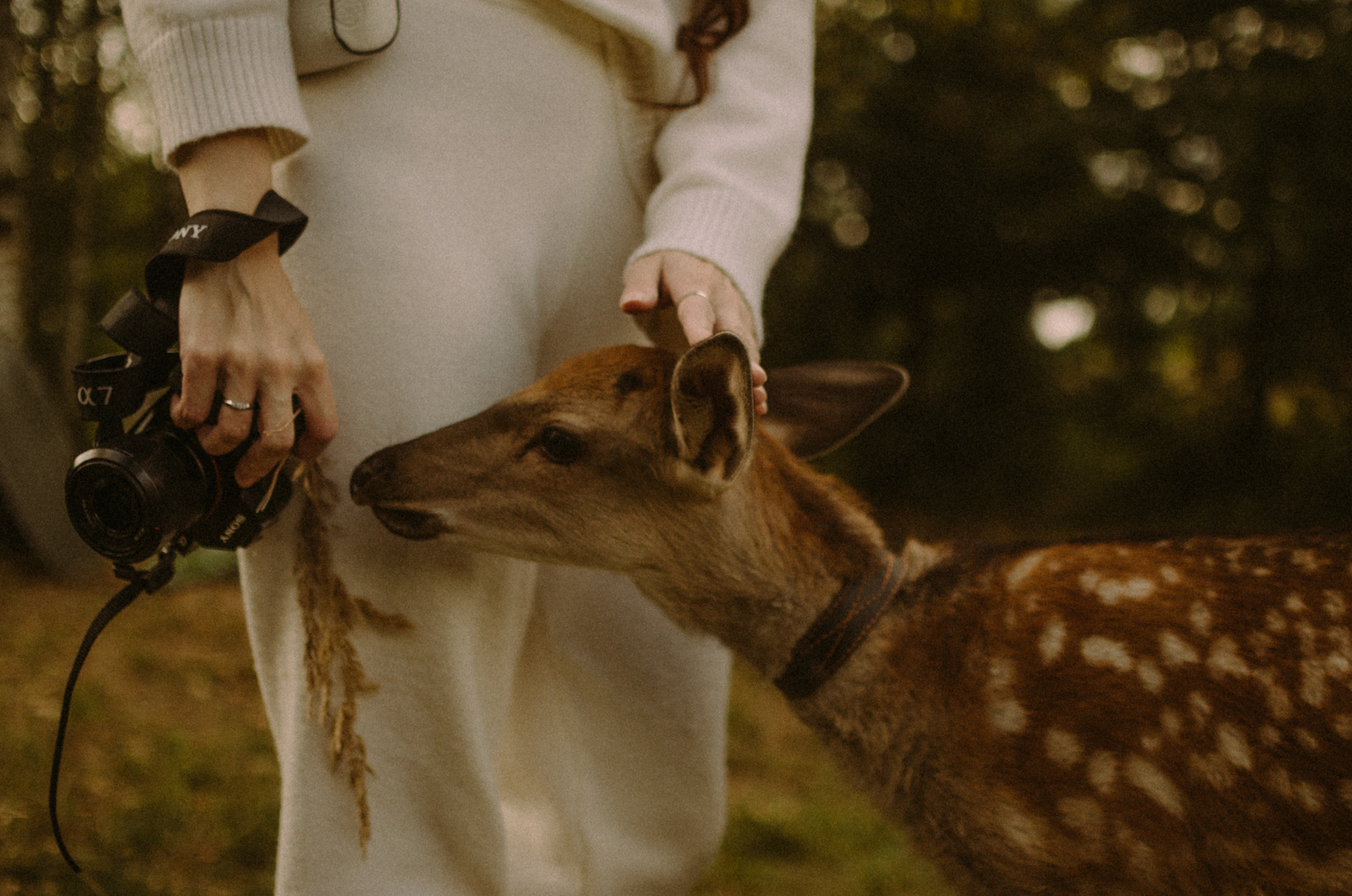 Осень, дети. Ваш Семейный Фотограф Москва