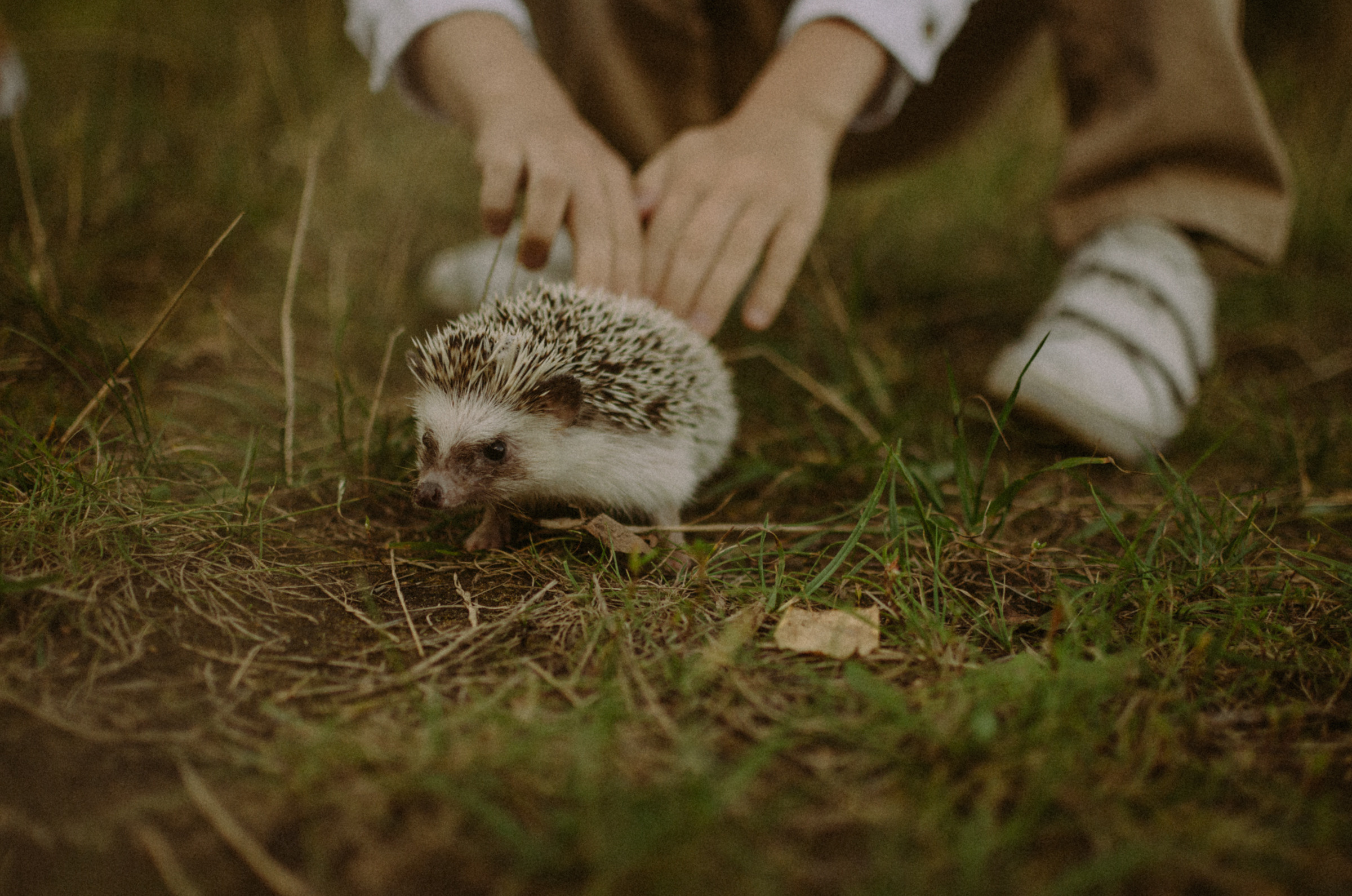 Осень, дети. Ваш Семейный Фотограф Москва
