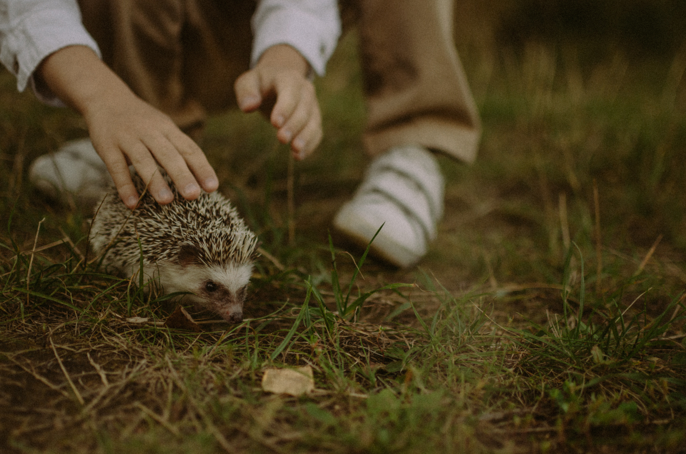 Осень, дети. Ваш Семейный Фотограф Москва