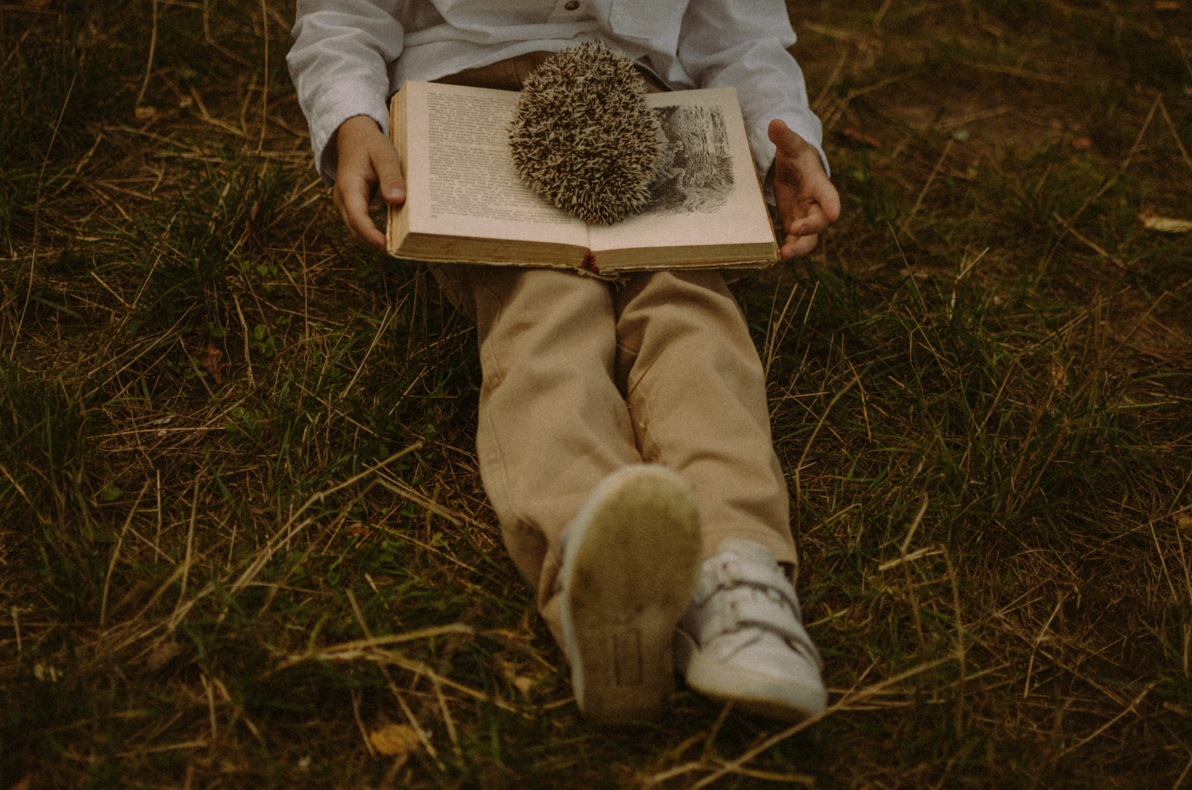 Осень, дети. Ваш Семейный Фотограф Москва