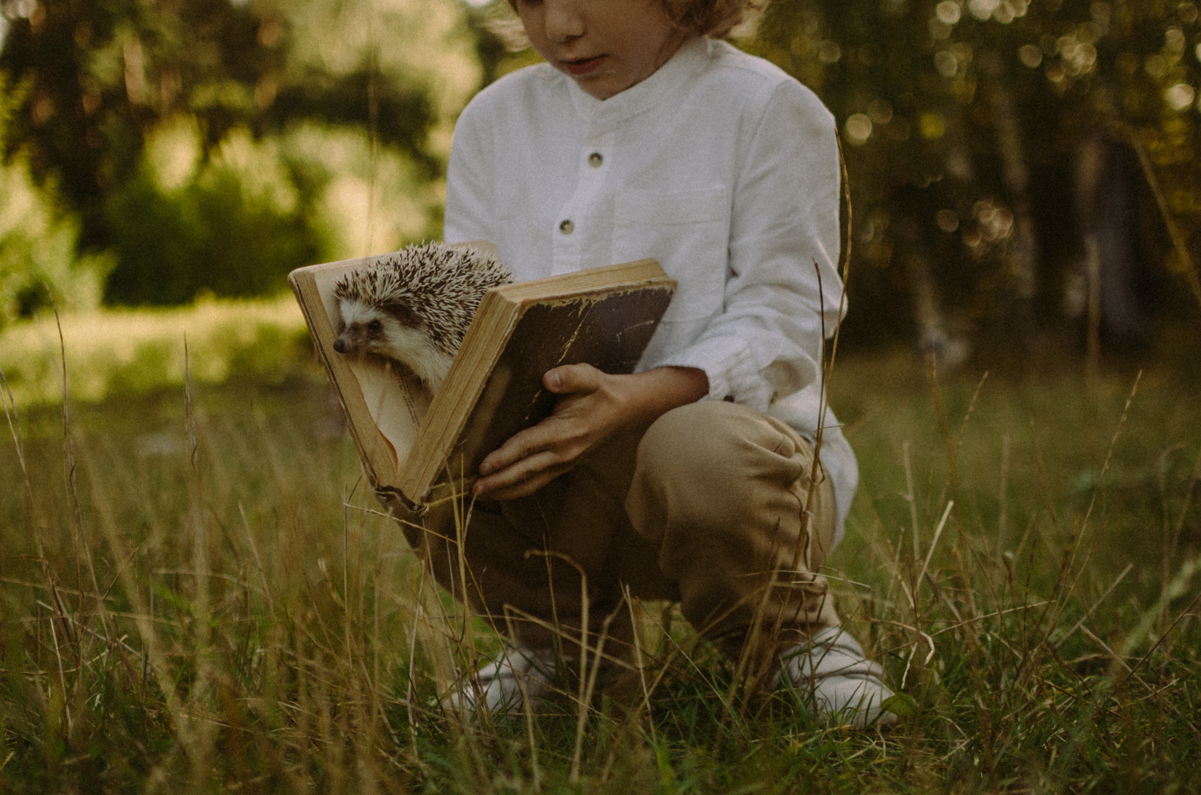 Осень, дети. Ваш Семейный Фотограф Москва