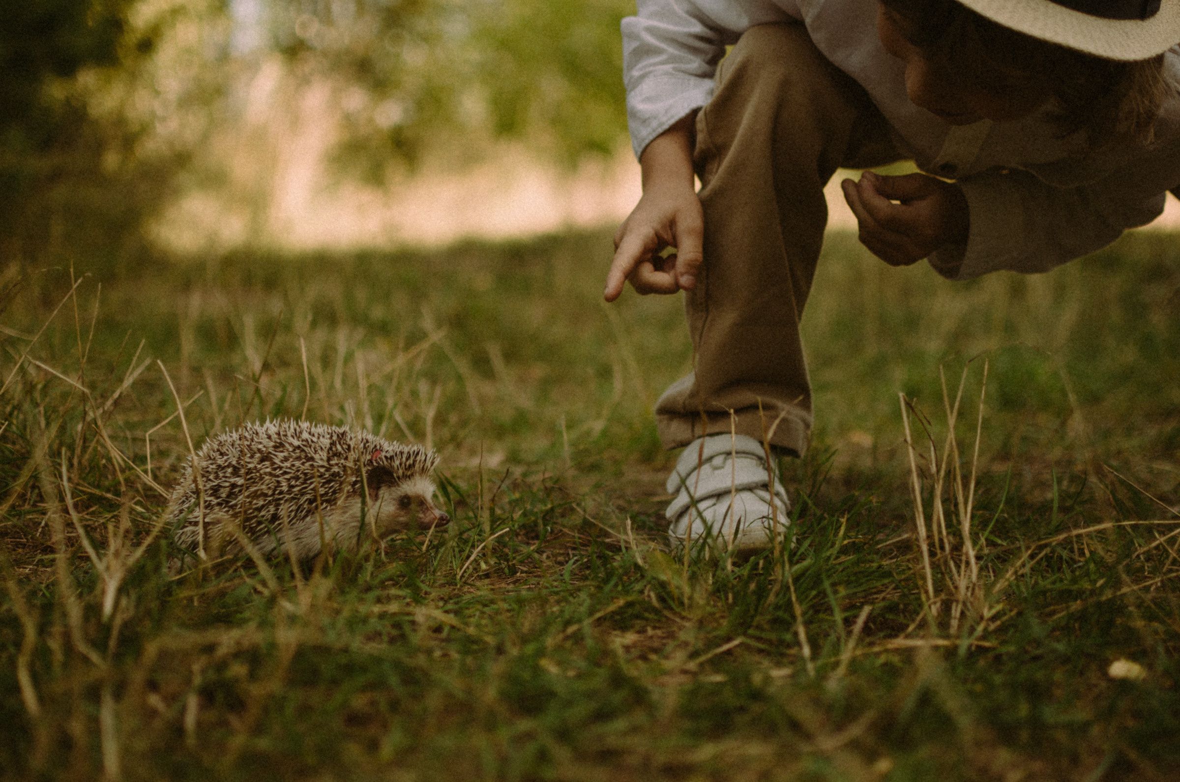 Осень, дети. Ваш Семейный Фотограф Москва