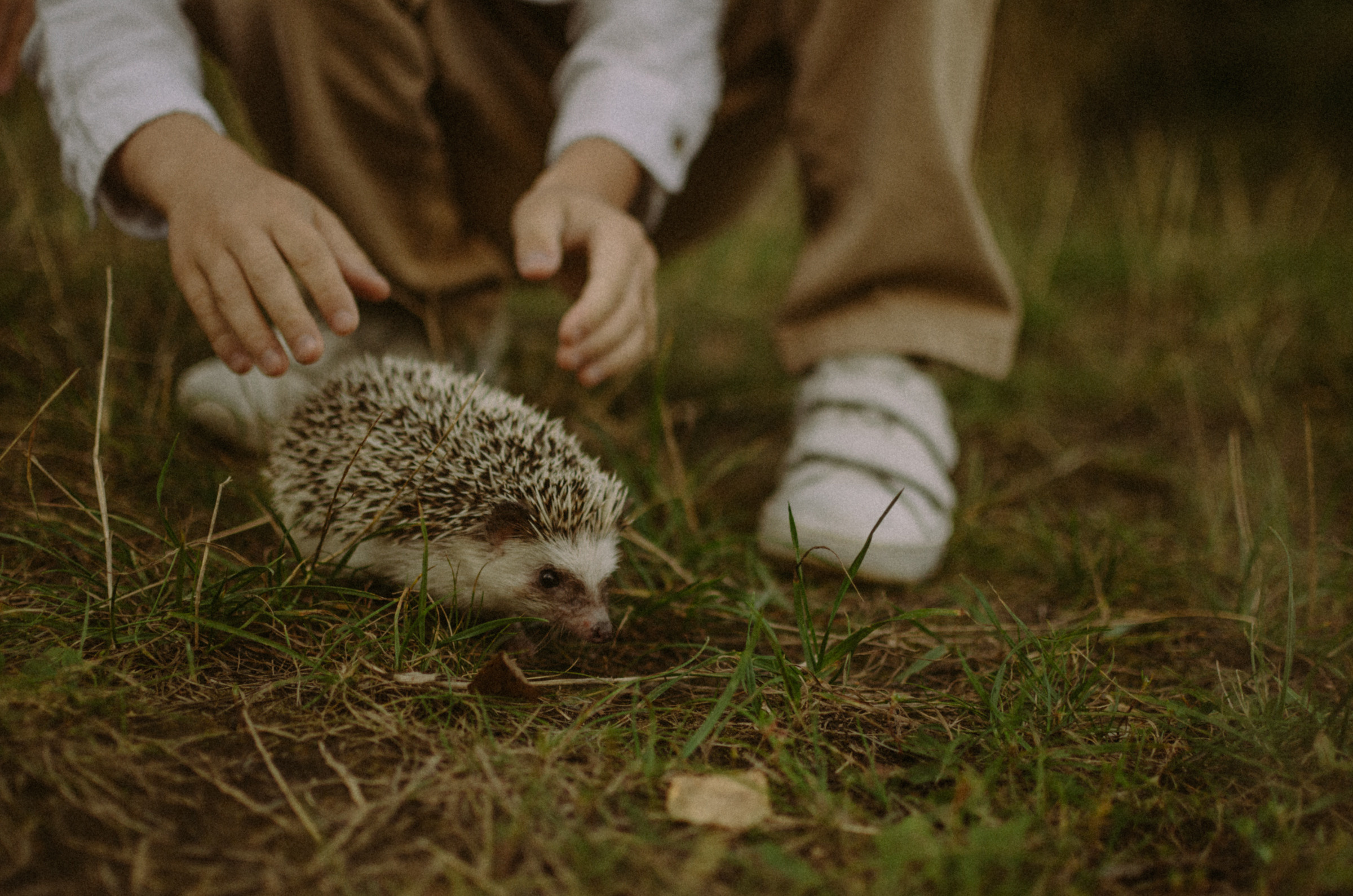 Осень, дети. Ваш Семейный Фотограф Москва