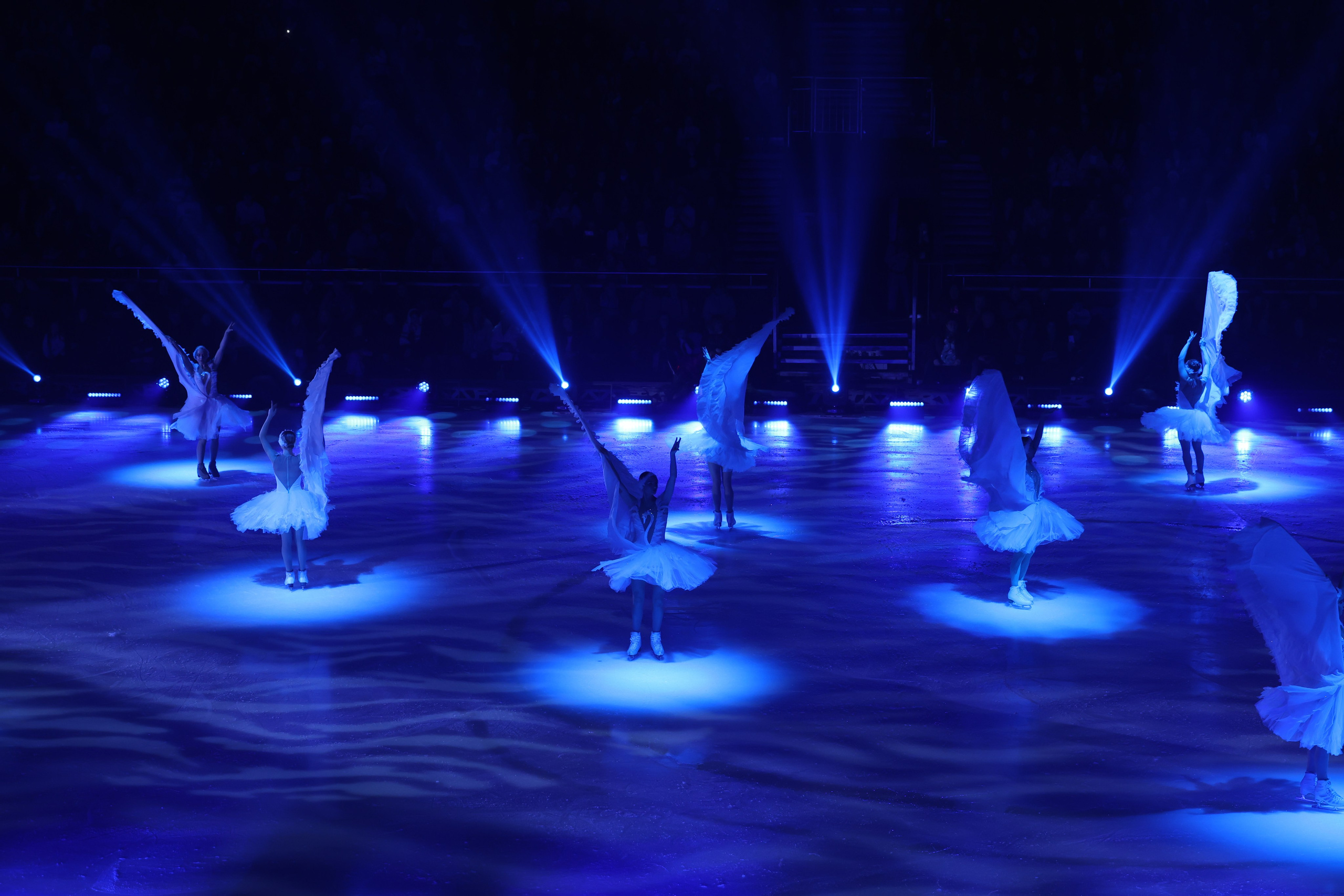 «Лебединое озеро» 26 декабря 2024. Спортивный и репортажный фотограф Антон Тереханов