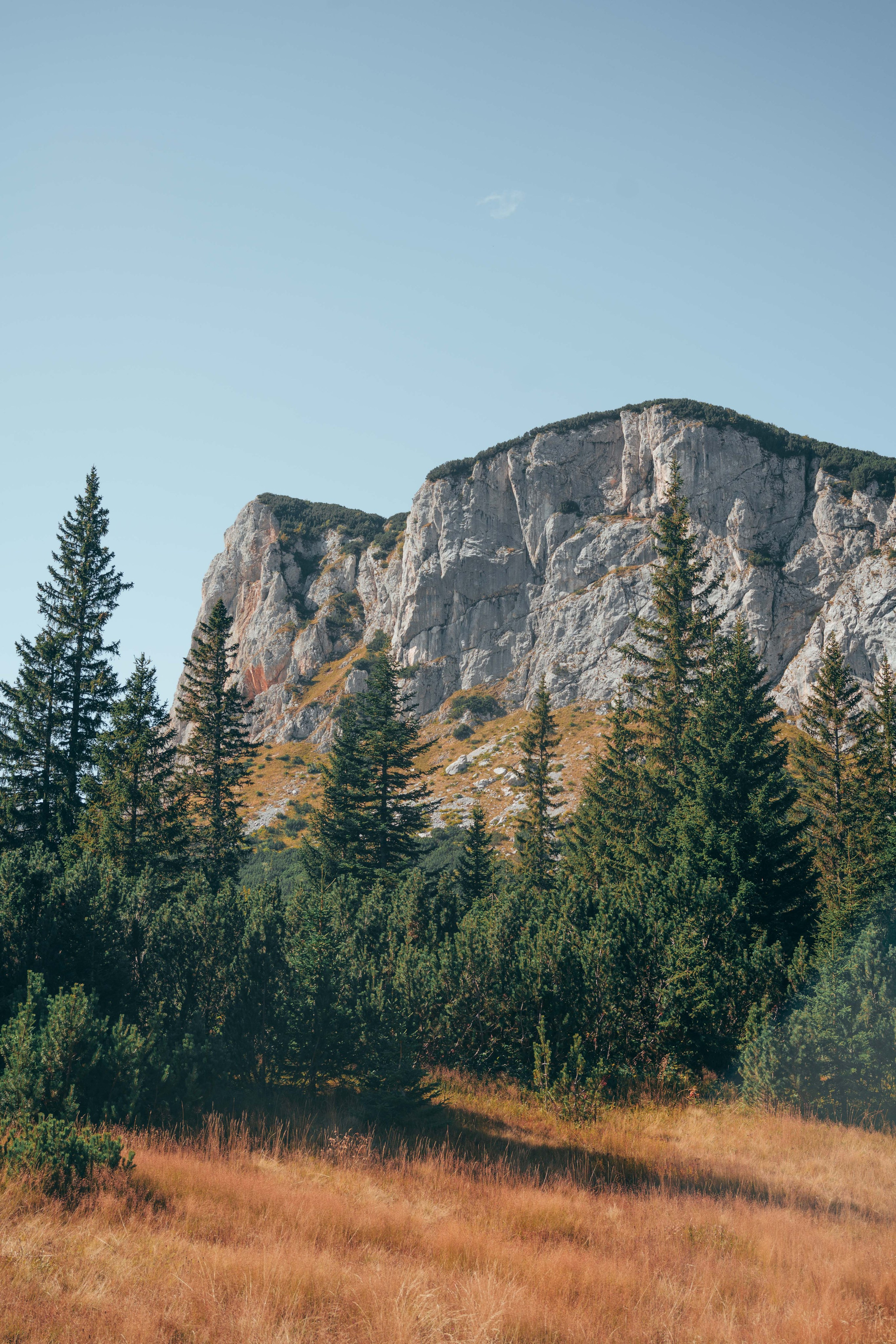 ЦРВЕНА ГРЕДА. ЧЕРНОГОРИЯ. Фотограф в Белграде Чугреева Елена