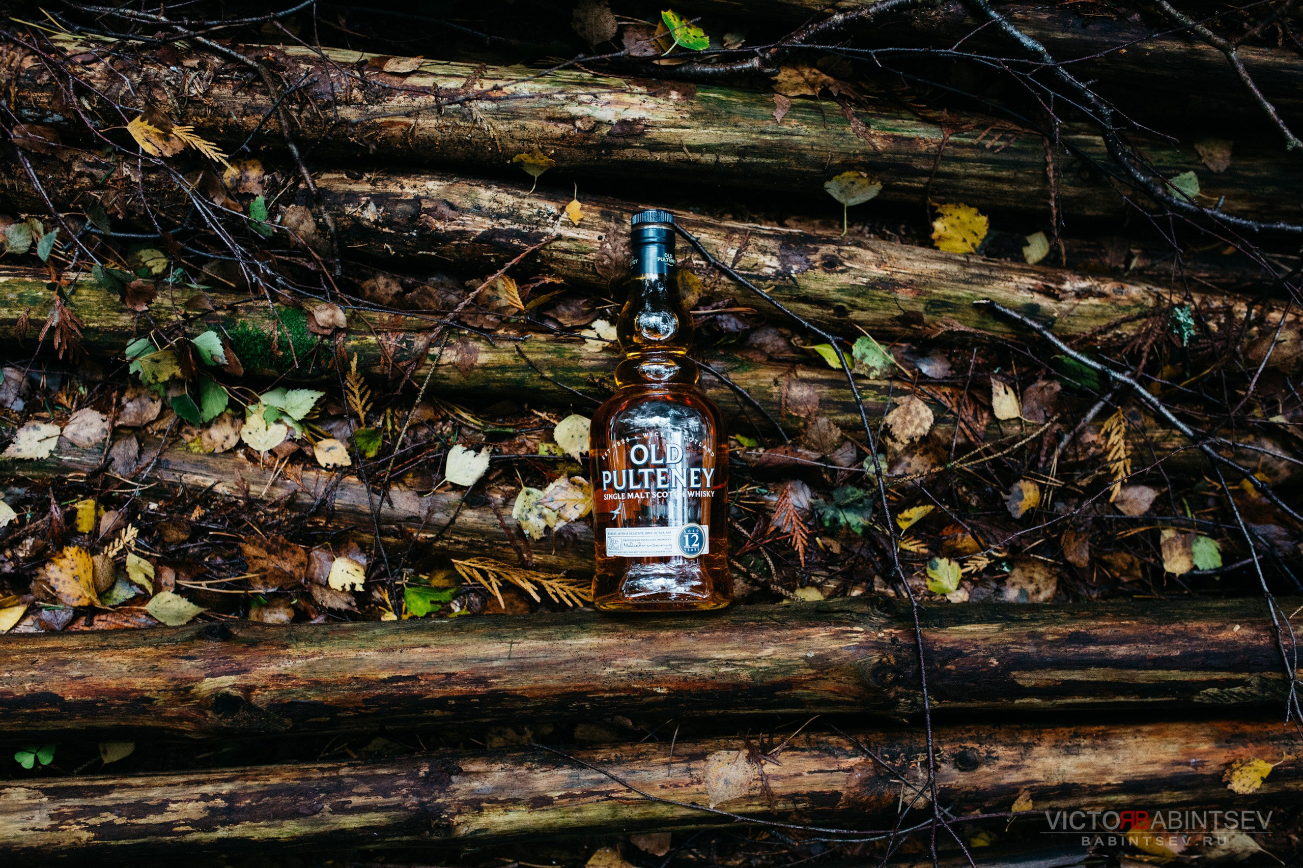 Whisky. Семейный и репортажной фотограф в Красноярске и Москве Виктор Бабинцев