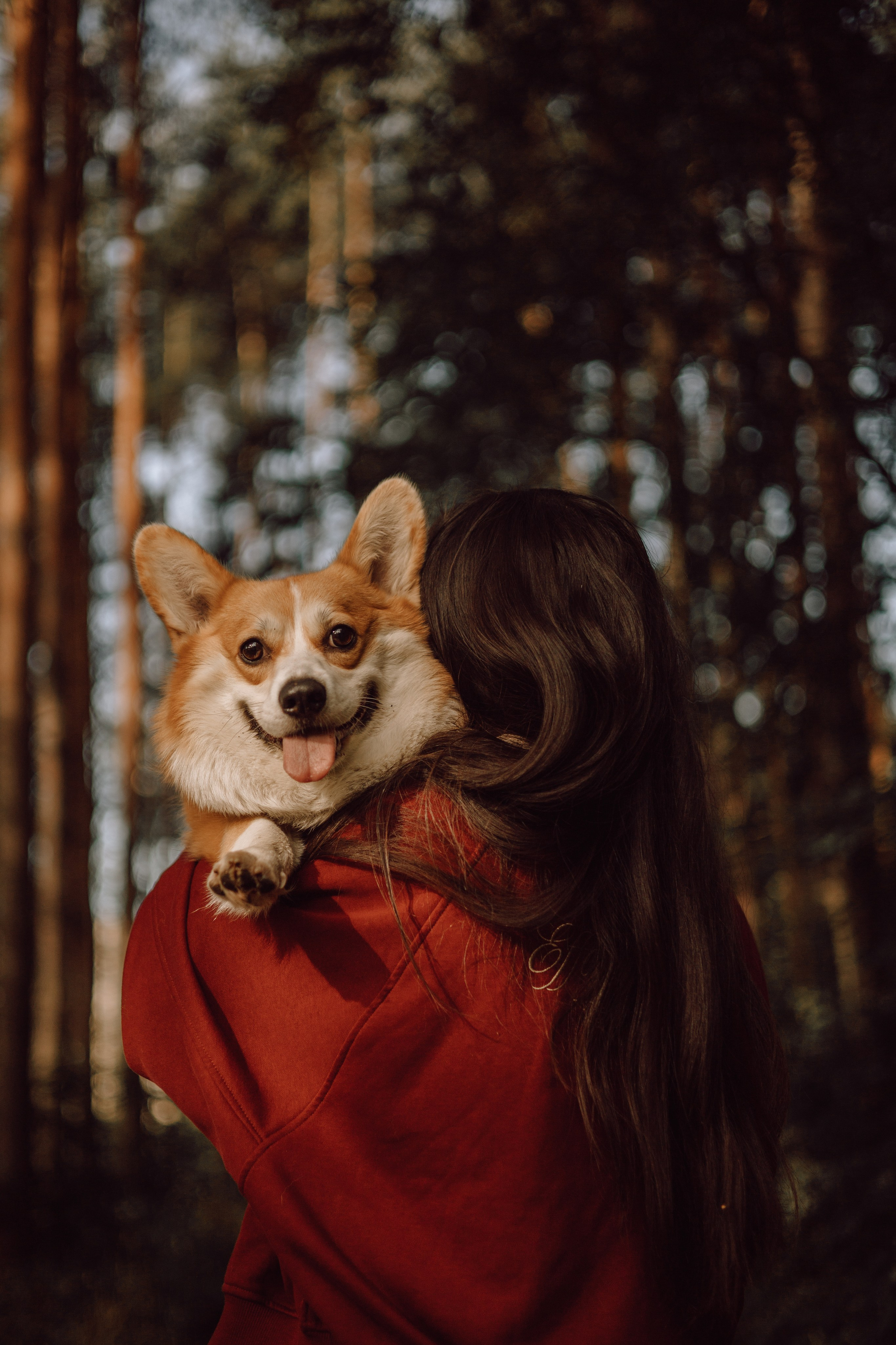 Йосик и его Мари. Фотограф — анималист •love-story•|Санкт-Петербург