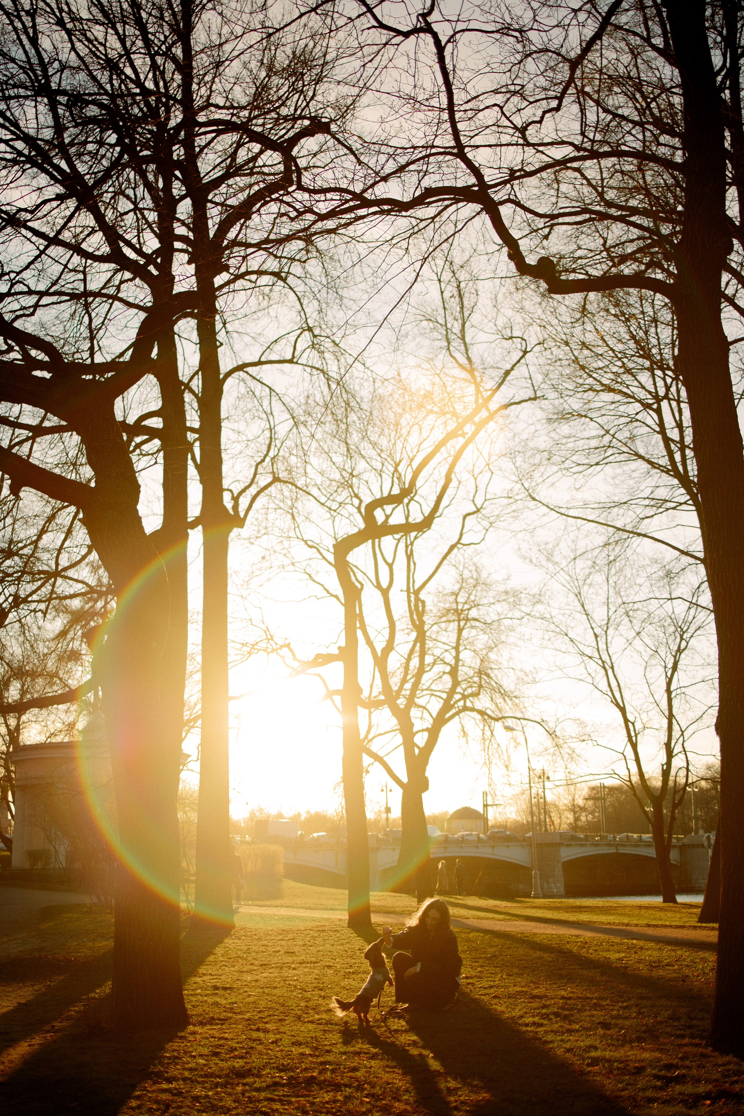 Одна прогулка из жизни Бимы. Семейный фотограф Питер •love-story•|Санкт-Петербург