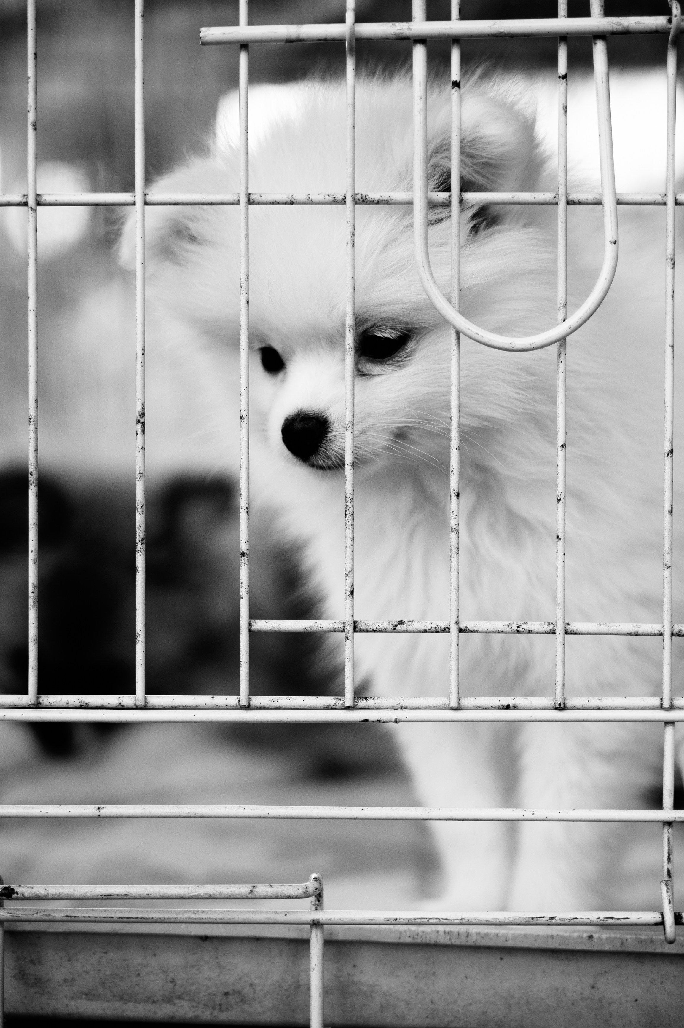 Стрит любое направление