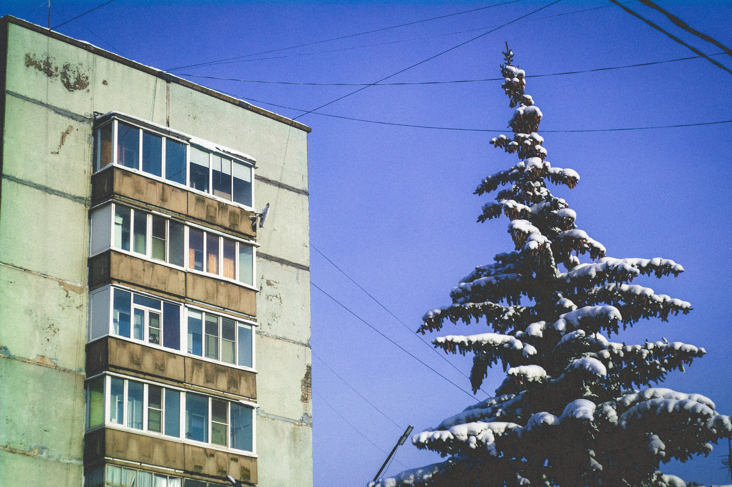 Мороз. Den Mirov — Фотограф, Музыкант