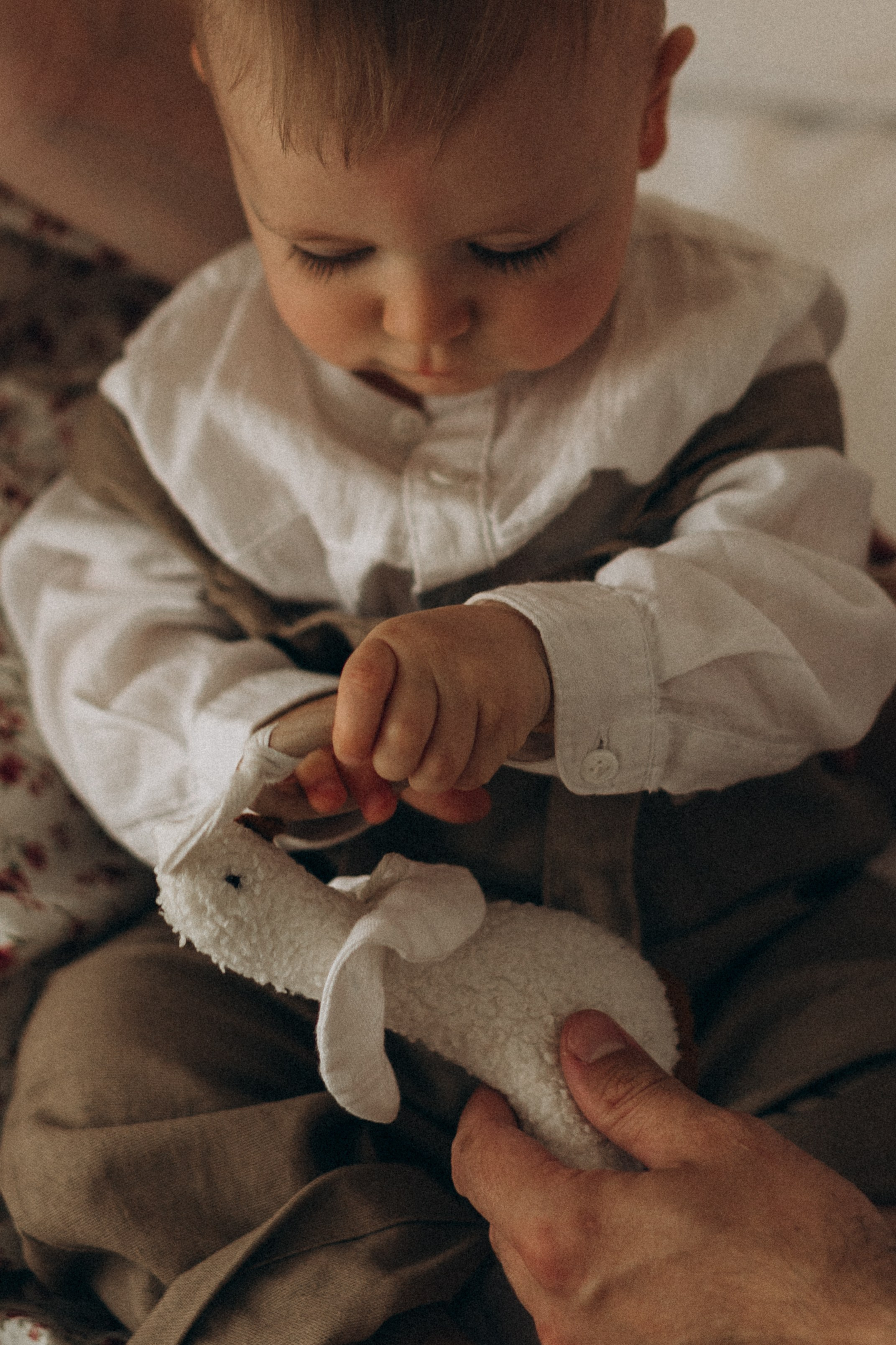 Первый День Рождения Ромы. Анастасия Шаповалова | Семейный фотограф