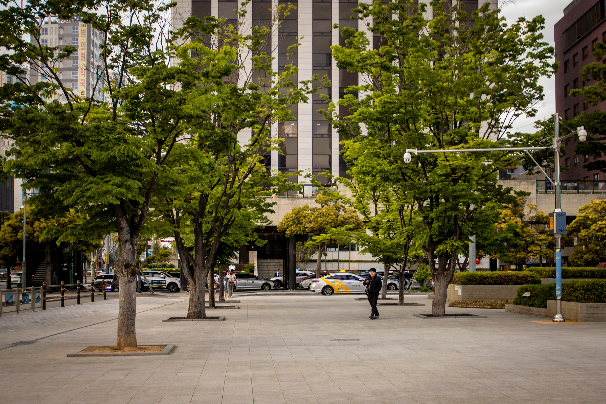 Однажды в Корее. Часть 1. Фотограф г. Владивосток