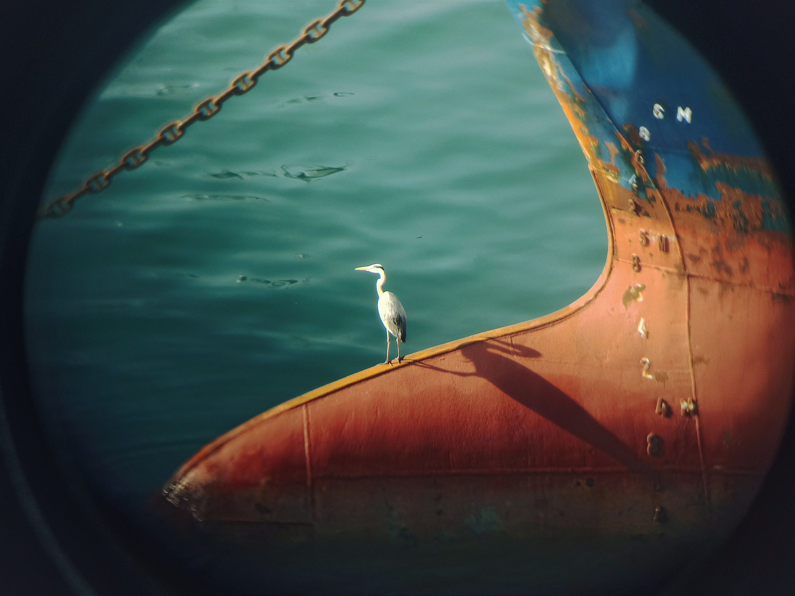 Мобильная фотография. Фотограф г. Владивосток