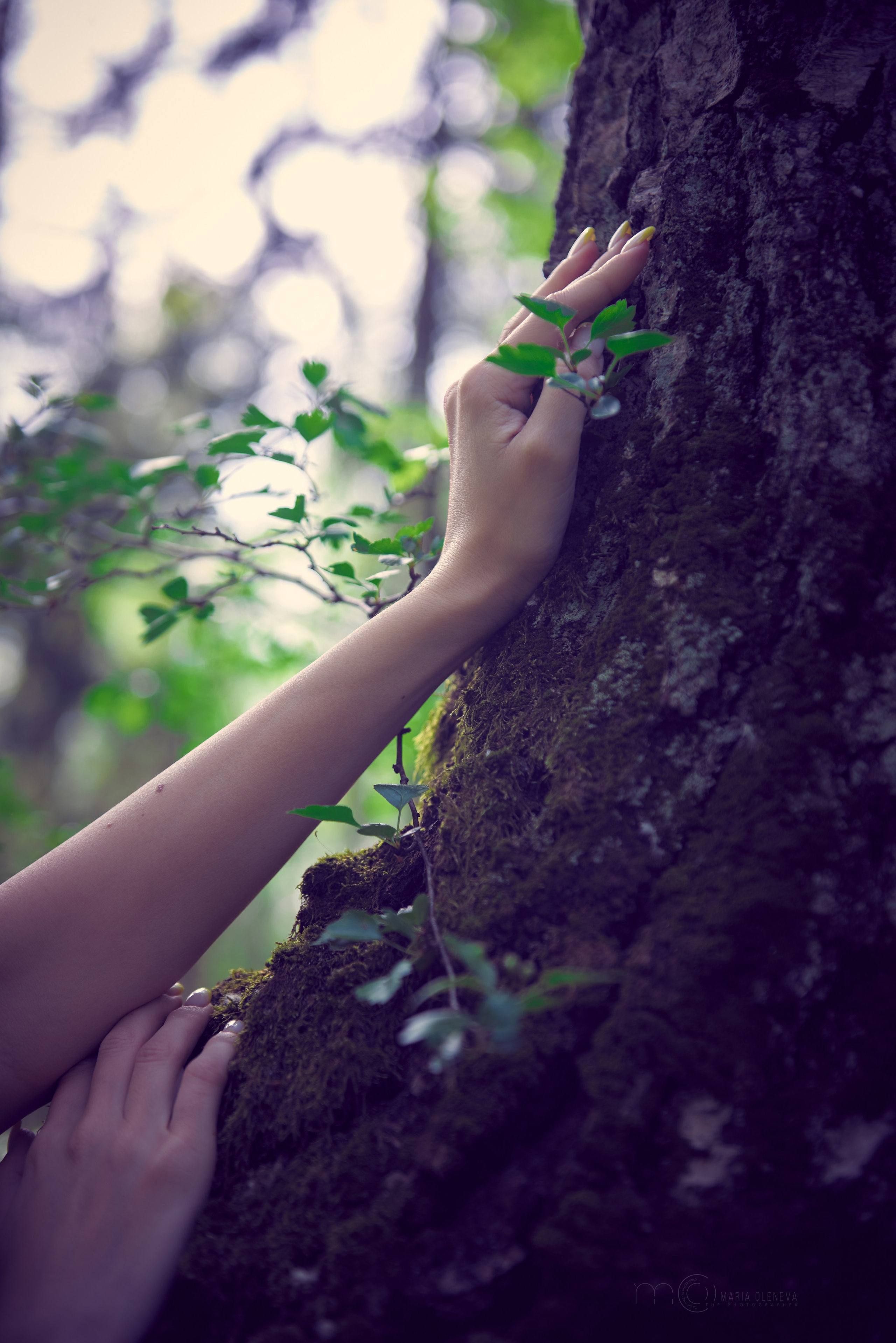 Лесная. Фотограф Мария Оленева