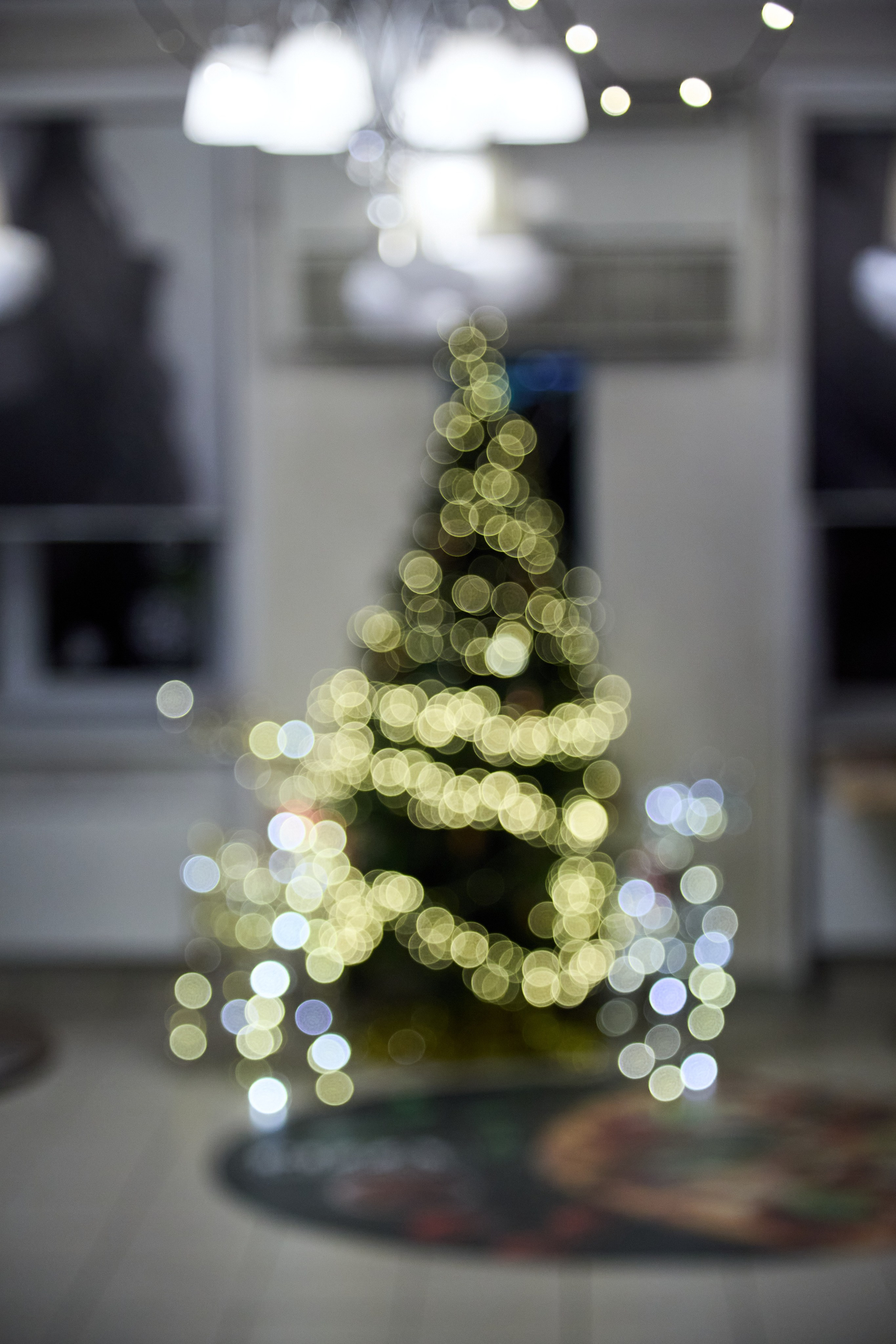 Новогодний Омск 2025. Фотограф Омск | Александр Вандеров