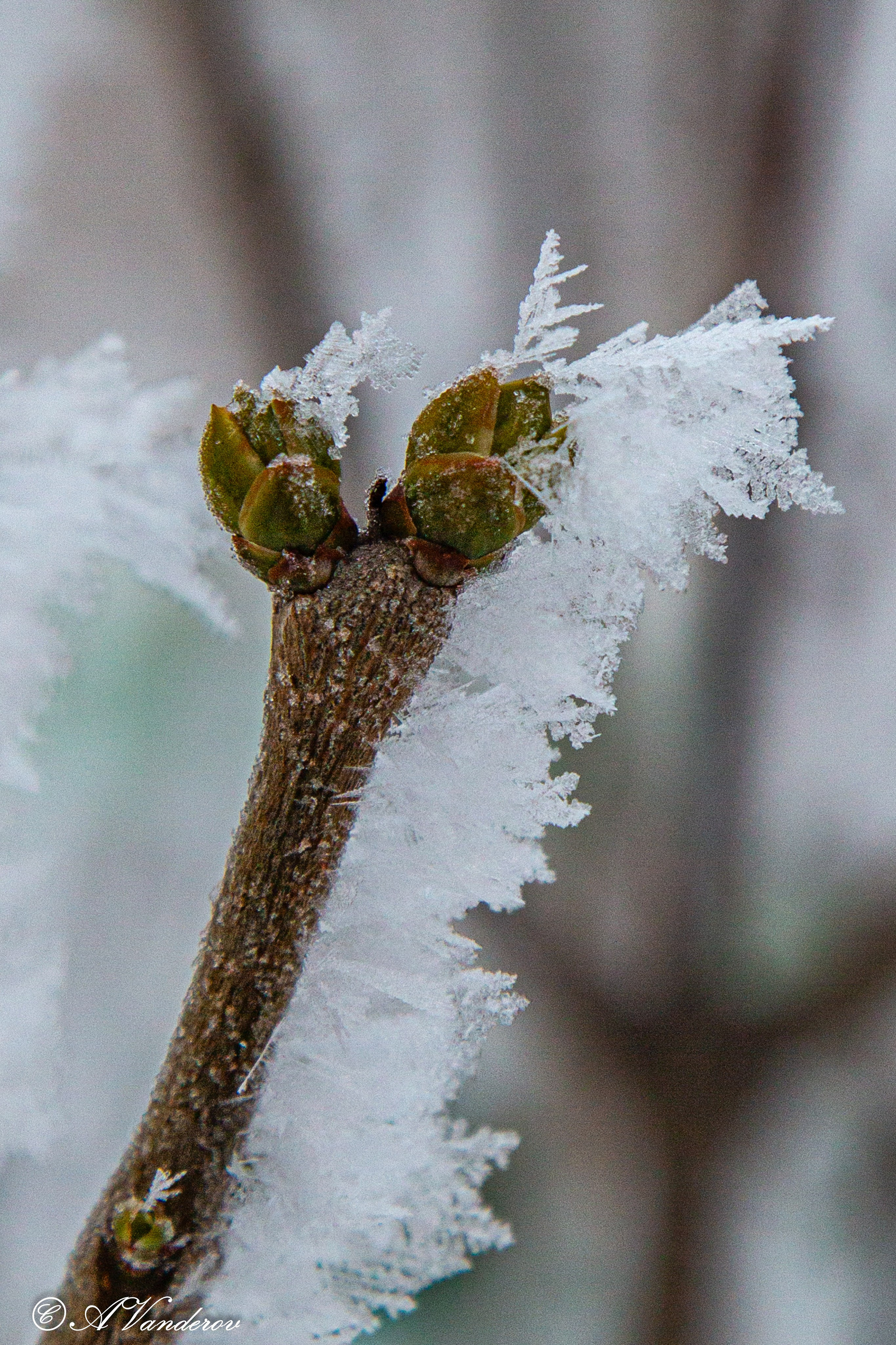 Красота природы. Фотограф Омск | Александр Вандеров