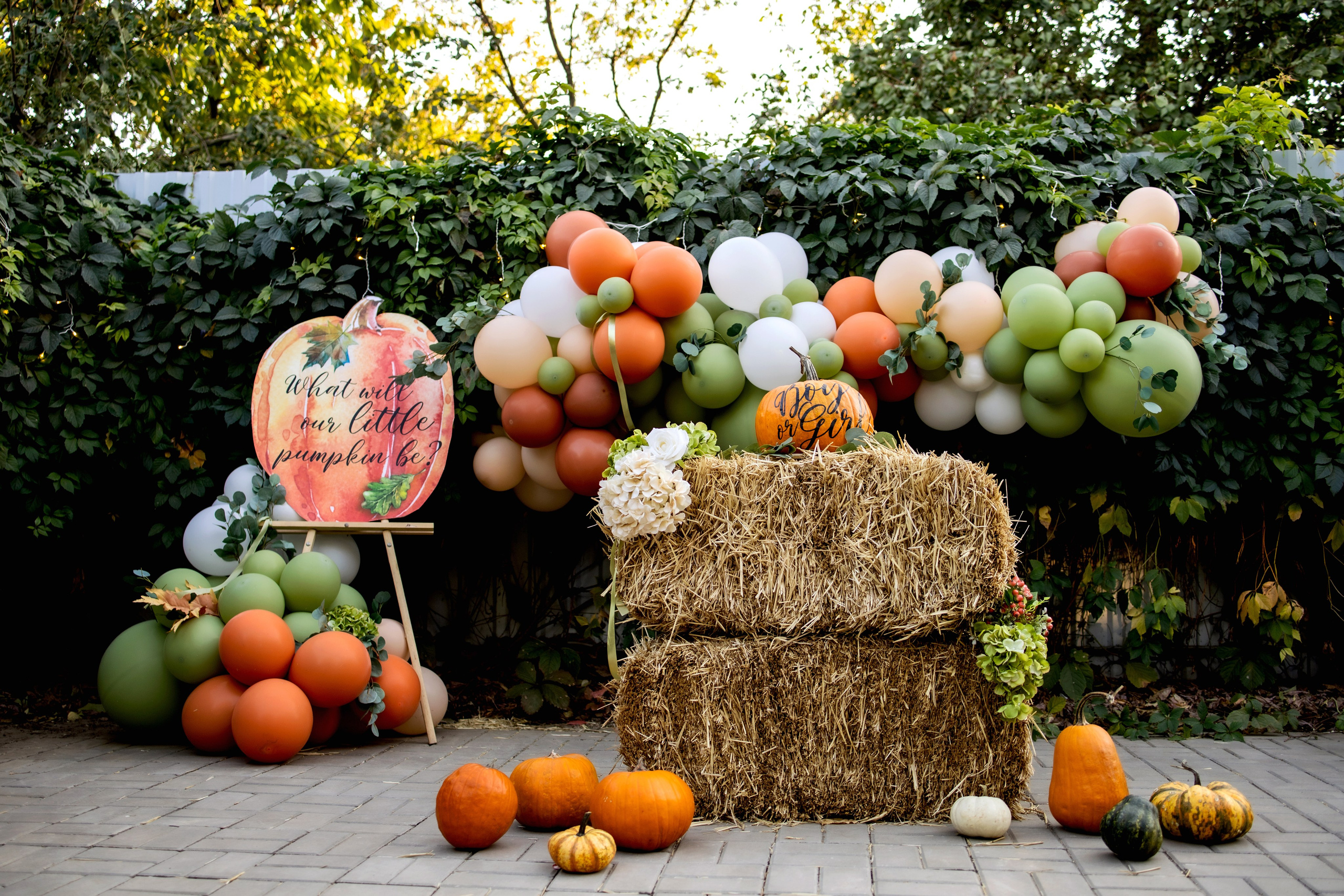 Гендер-Пати. Фотограф Надежда Лукьянова