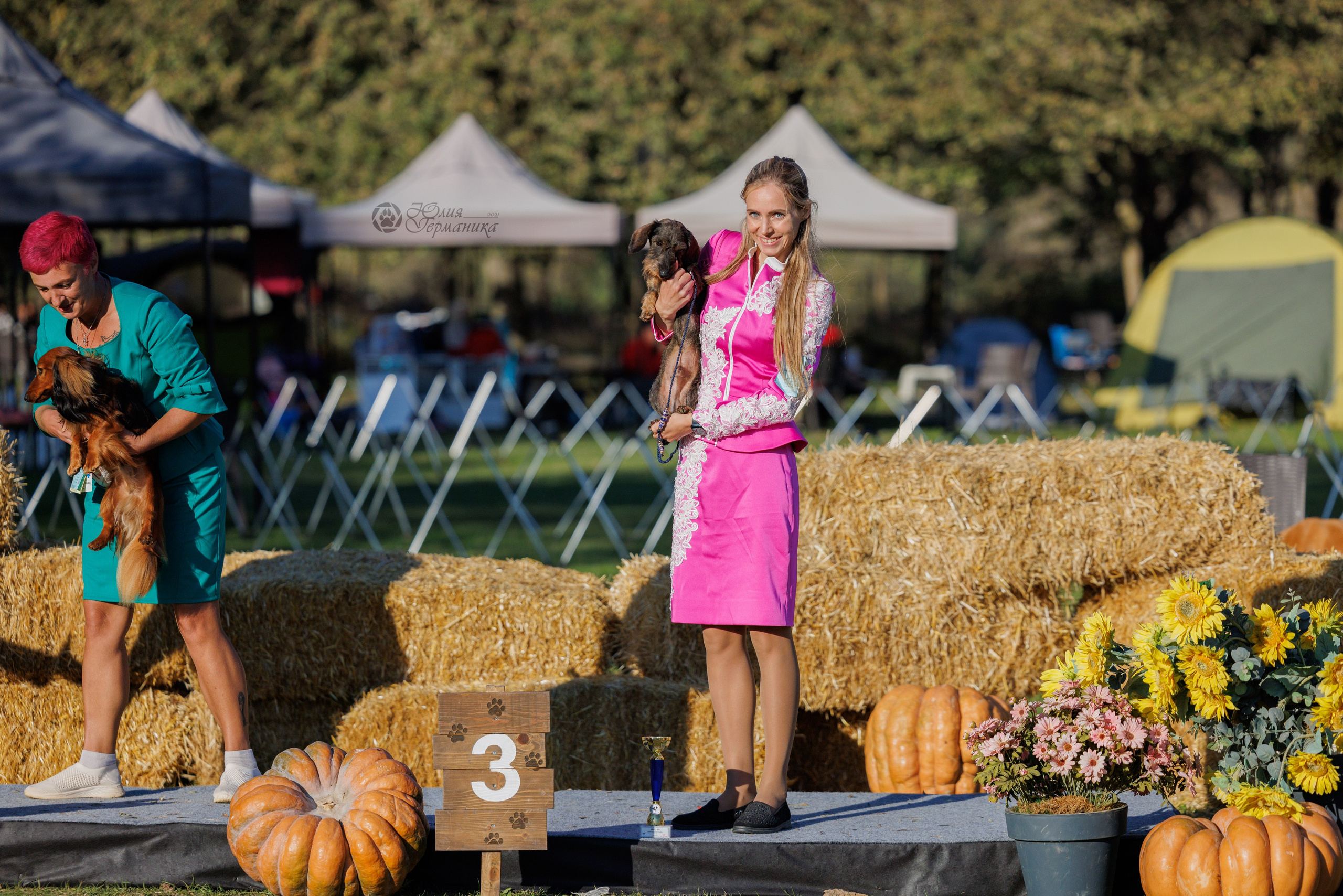 Туция,Стамбул 2хCACIB 26-27.10.24. Фотограф-анималист Юлия Германика