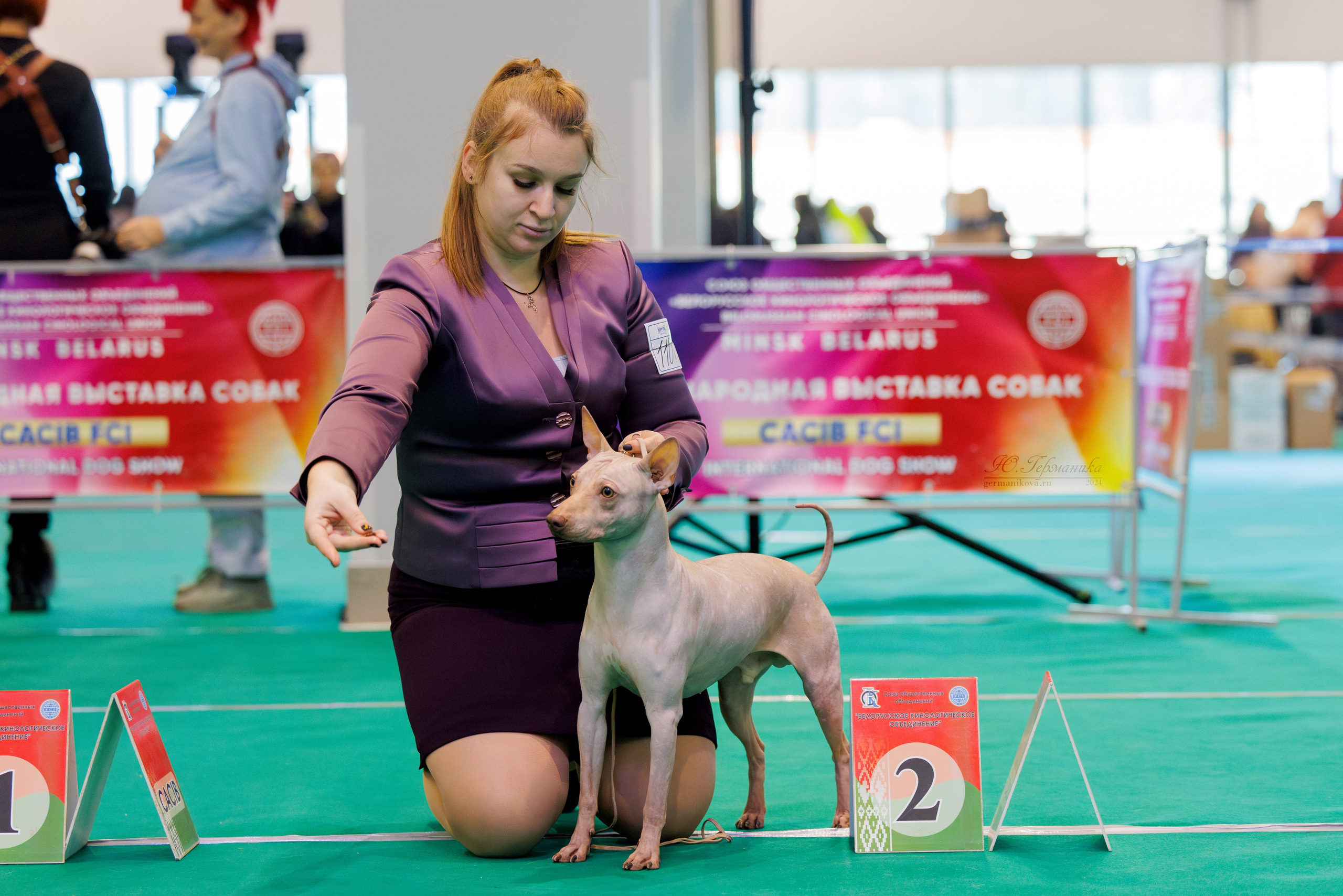Минск 23.11.2024. Фотограф-анималист Юлия Германика