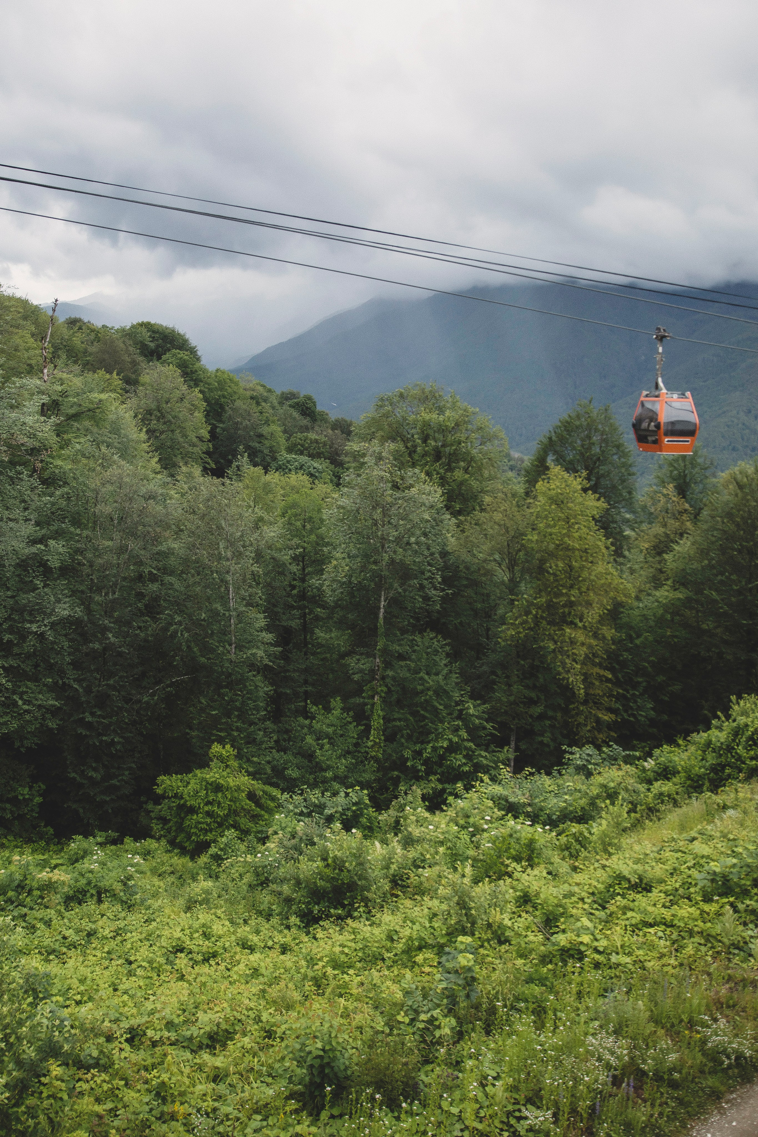 Александра и семья, Красная поляна. Свадебный и семейный фотограф Колоскова Мария (Сочи и весь мир)