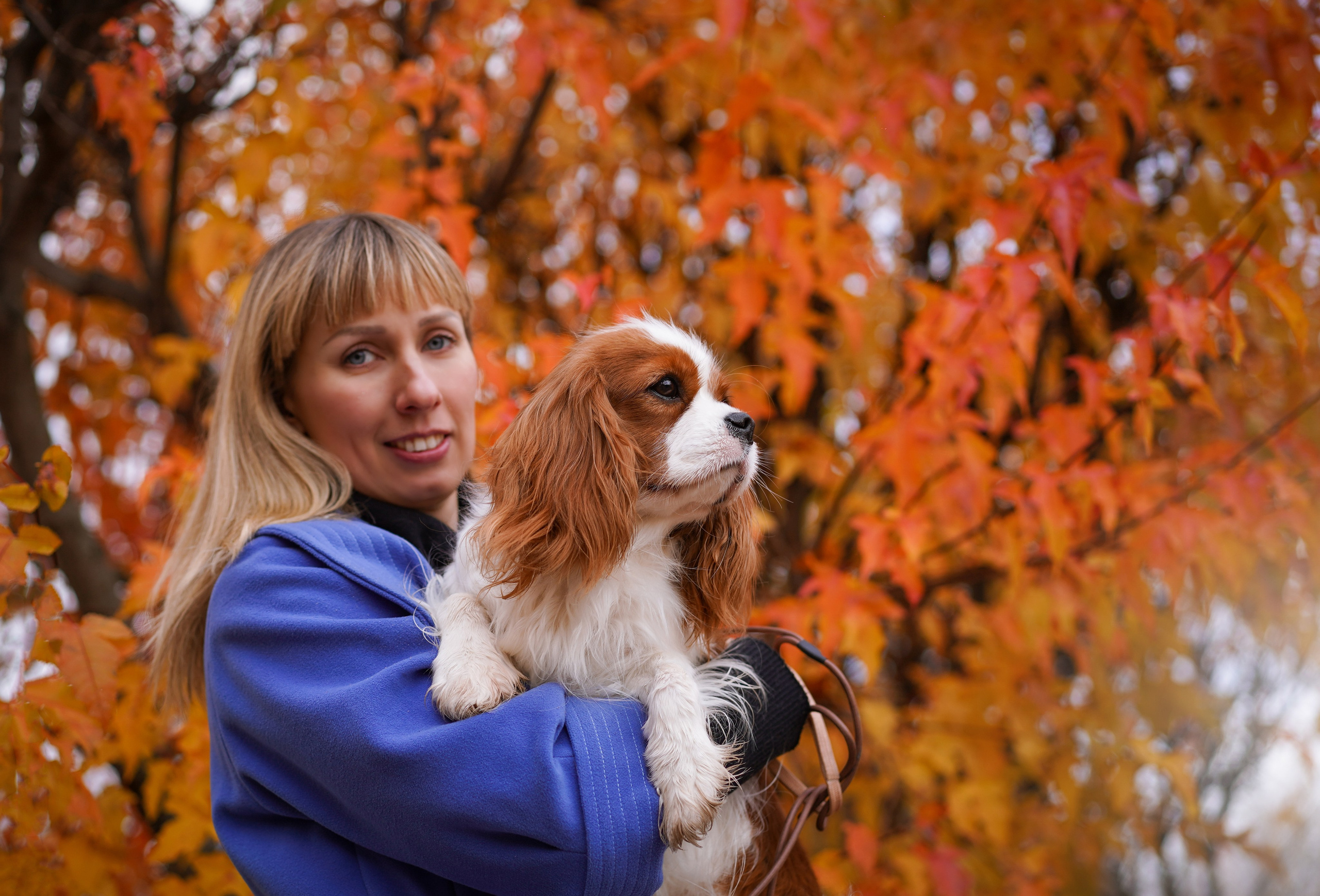 Катя Валера Саша и кавалерчики. Фотограф-анималист в Санкт-Петербурге Яна Мартынова