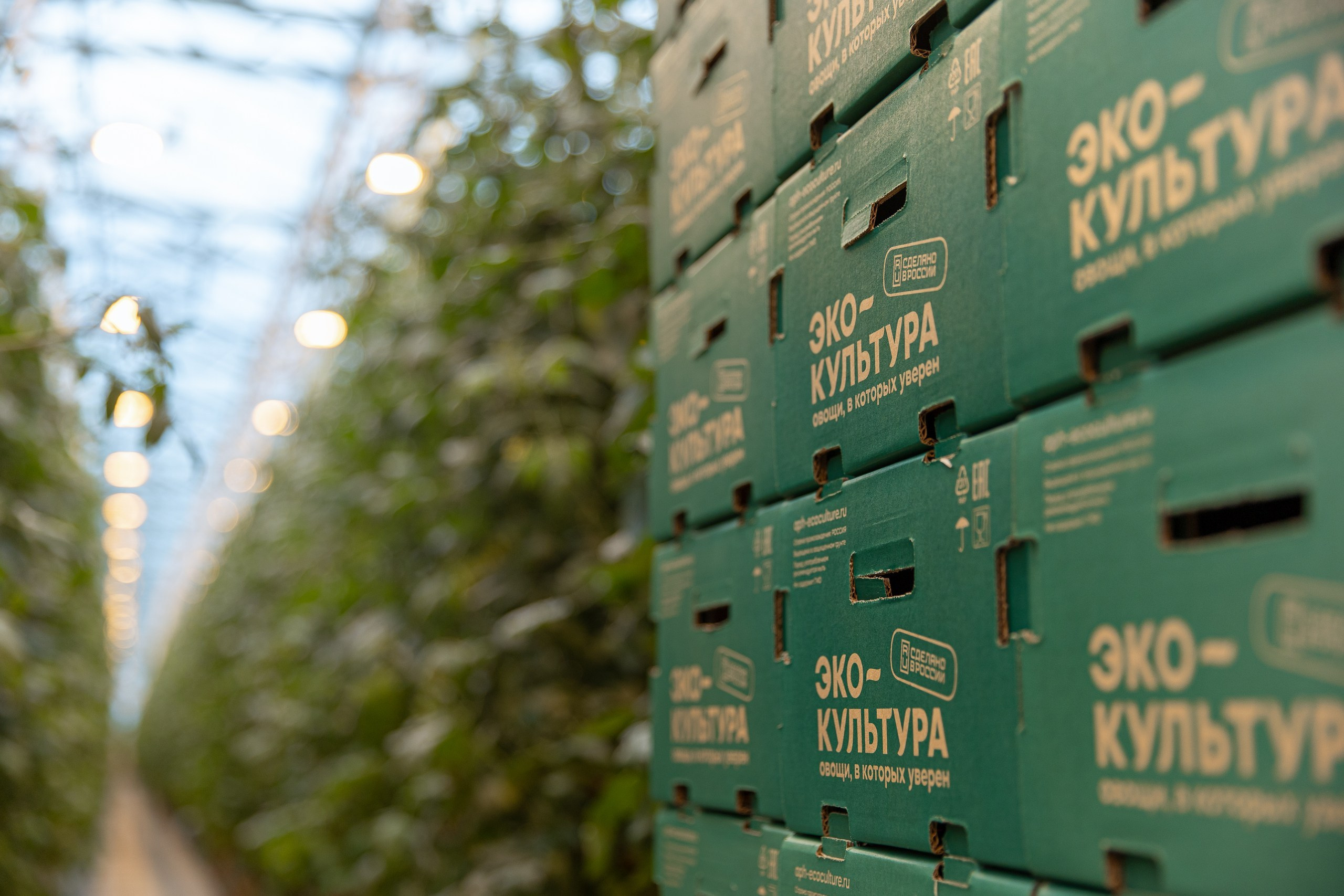 Производство. Фотограф Николай Петрушкин | Ставрополь, Москва