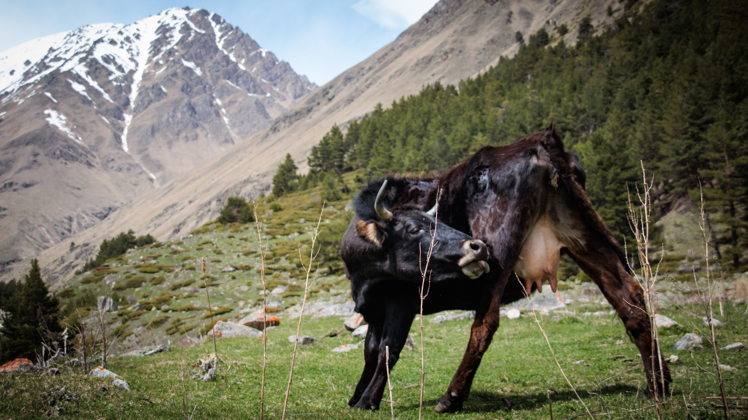 Трекинг / Ирик. Фотограф на трекинг и восхождение Эльбрус, Приэльбрусье. Елизавета Бобок