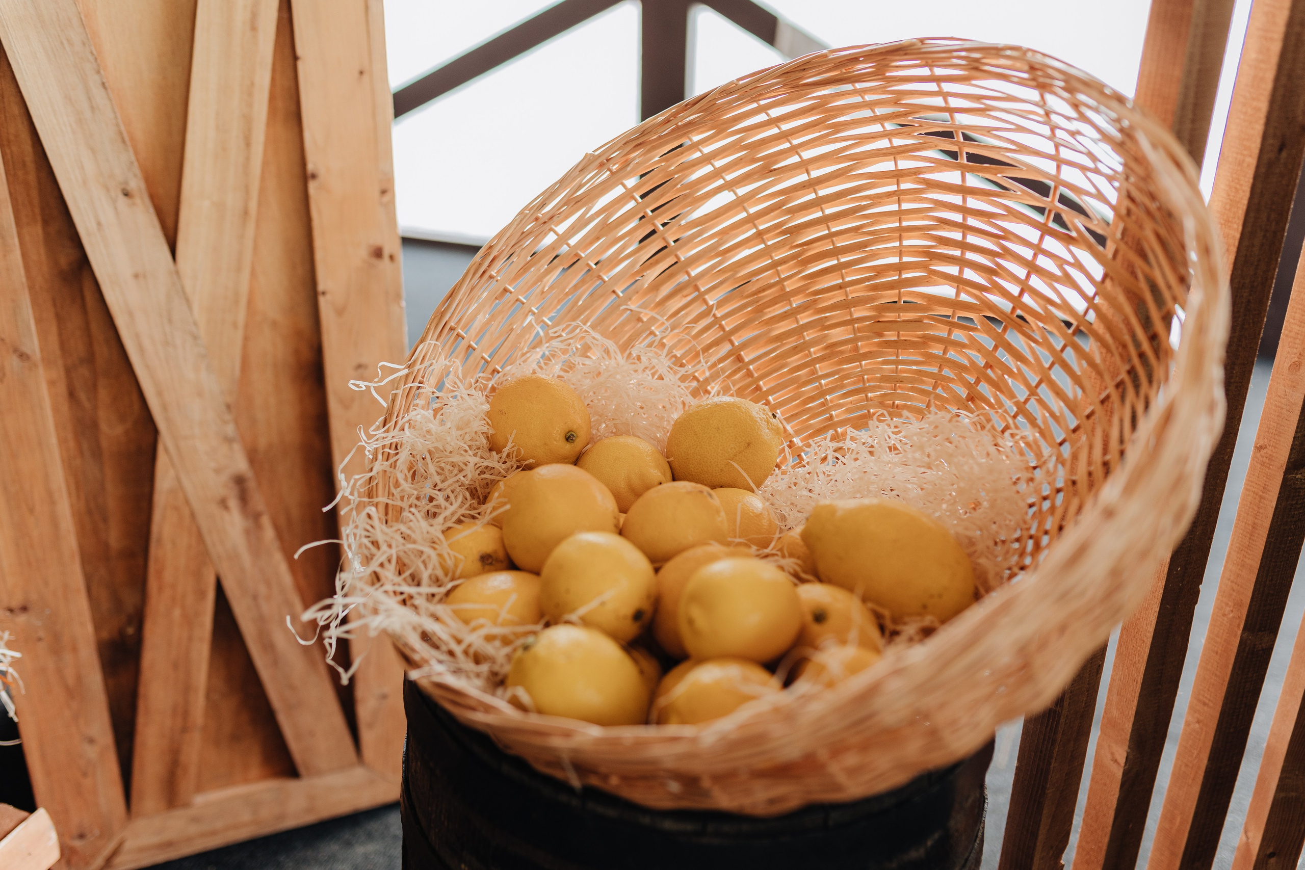 Фото: Елена Гордеева 