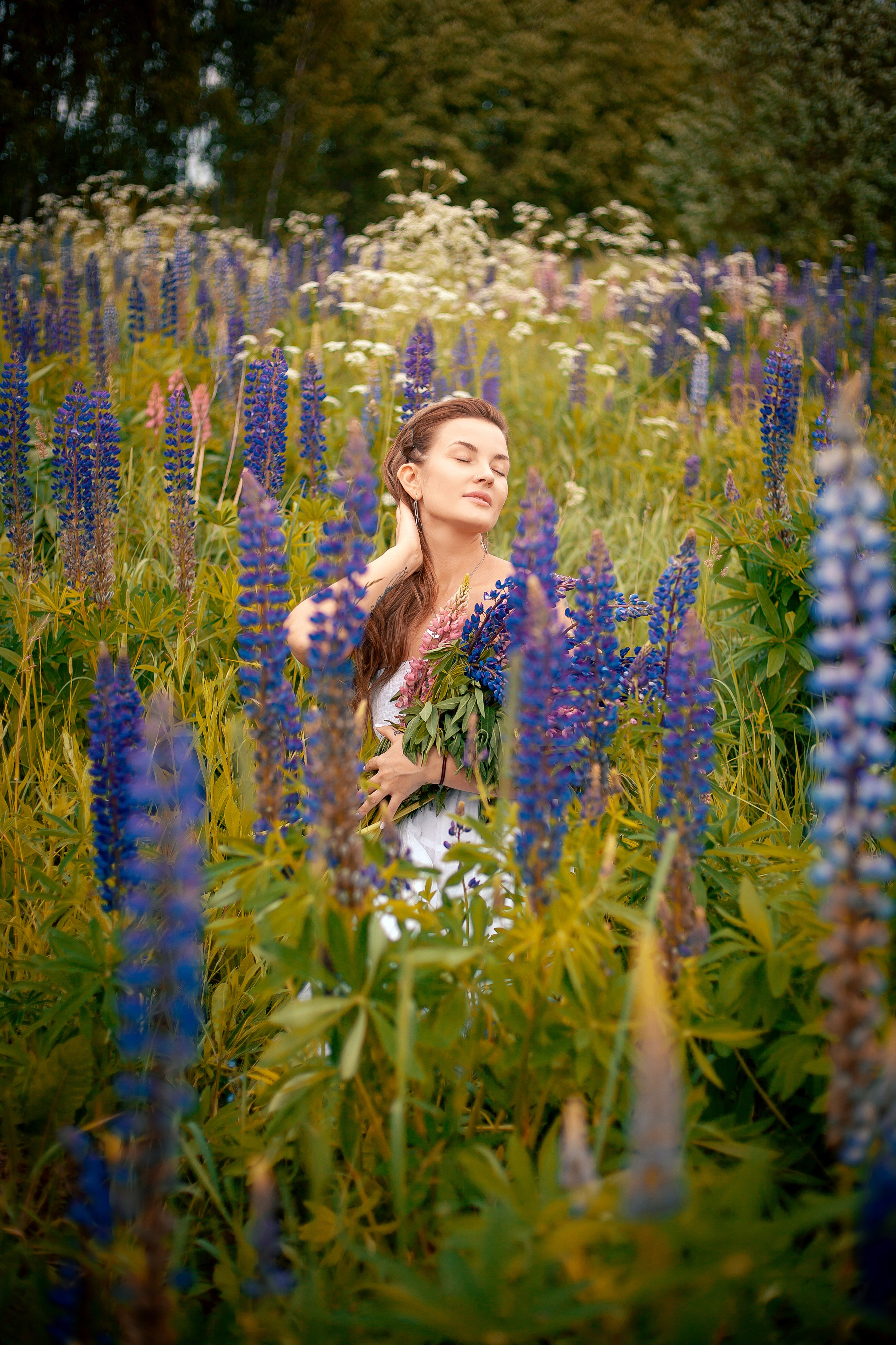 Люпины. Фотограф Мария Кольцова