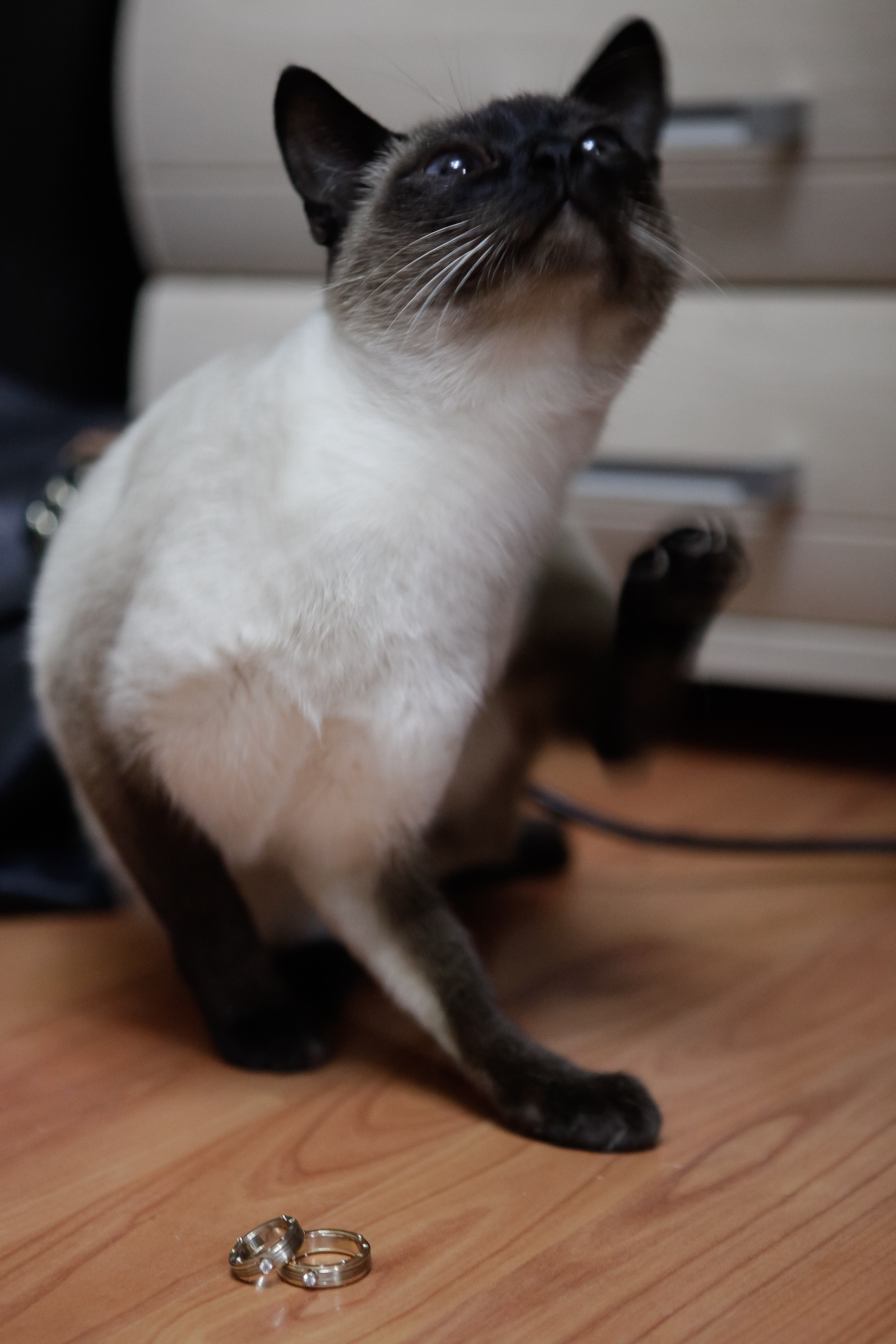 Утро/Morning. Максим Матвийченко и Виктория Басова профессионалы своего дела