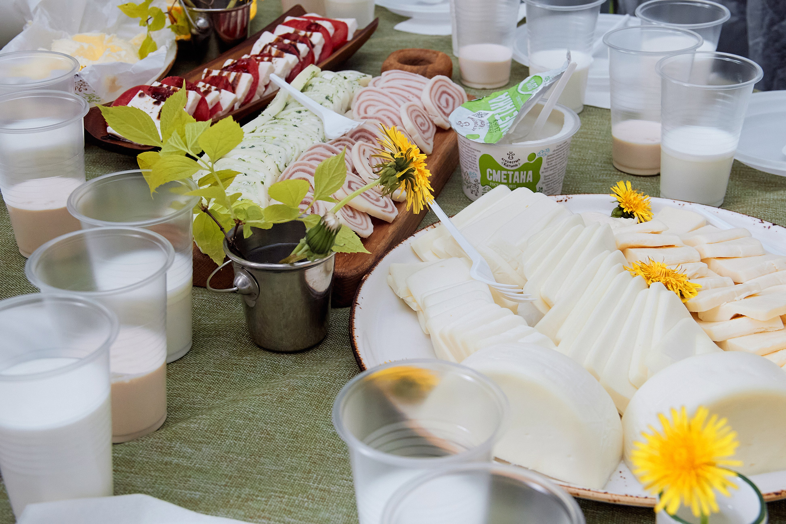 Экскурсия «Агроферма-Катынь». Фотограф в Смоленске Ася Польшина