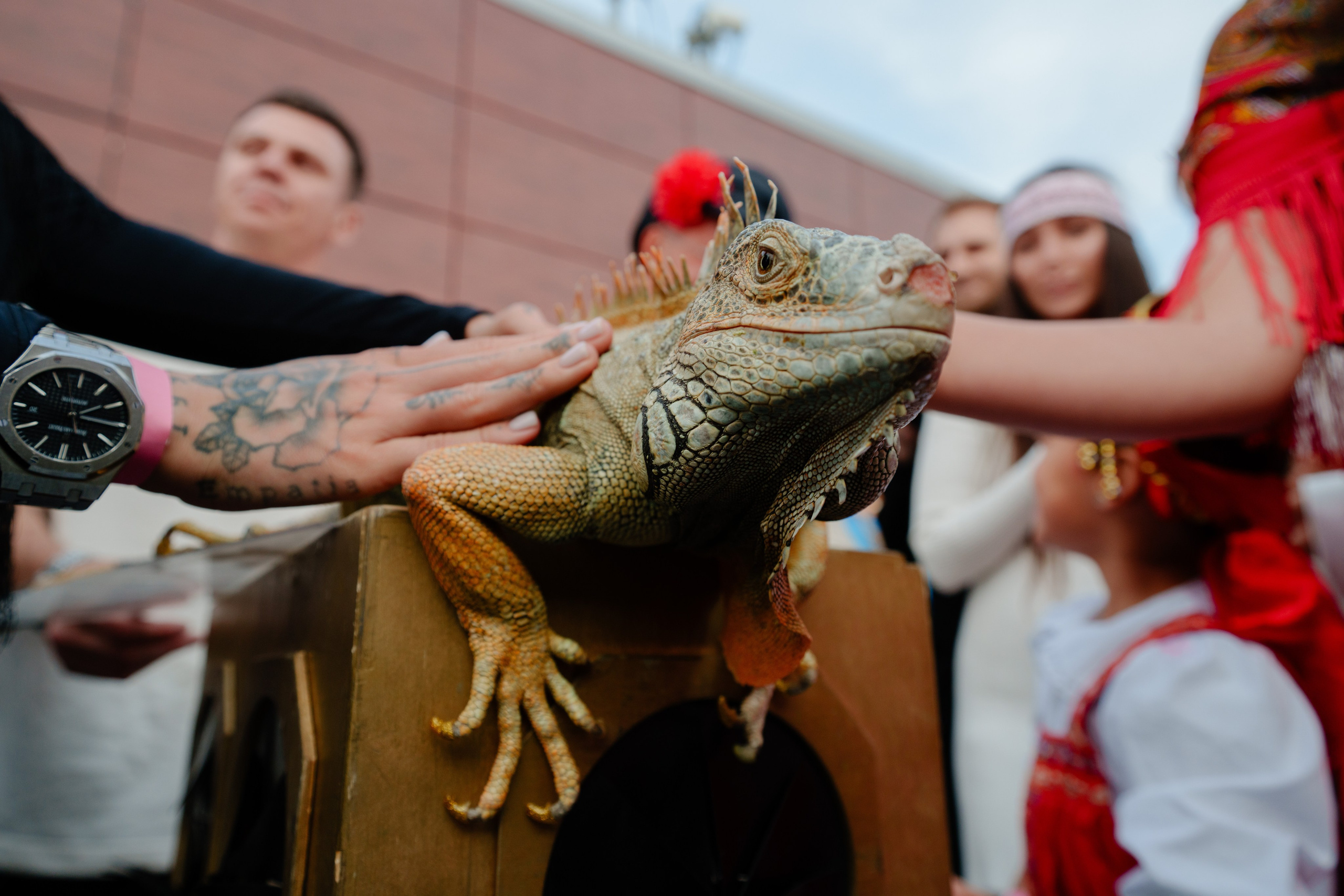 Репортажный фотограф на гендер пати в славянском стиле в Москве. Репортажный фотограф Москва Сергей Дружинин