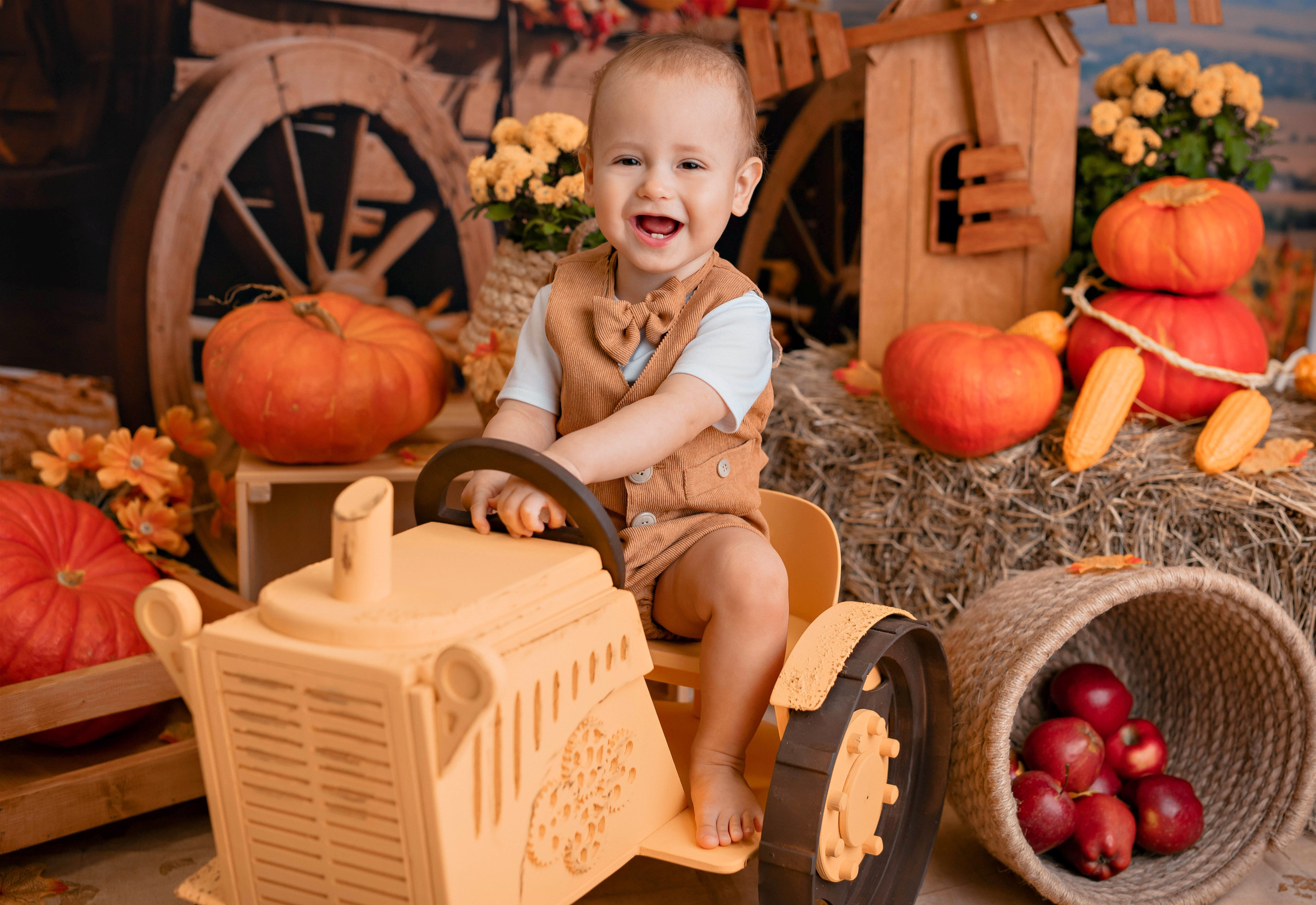 Тыквы. Фотограф Болотова Иветта