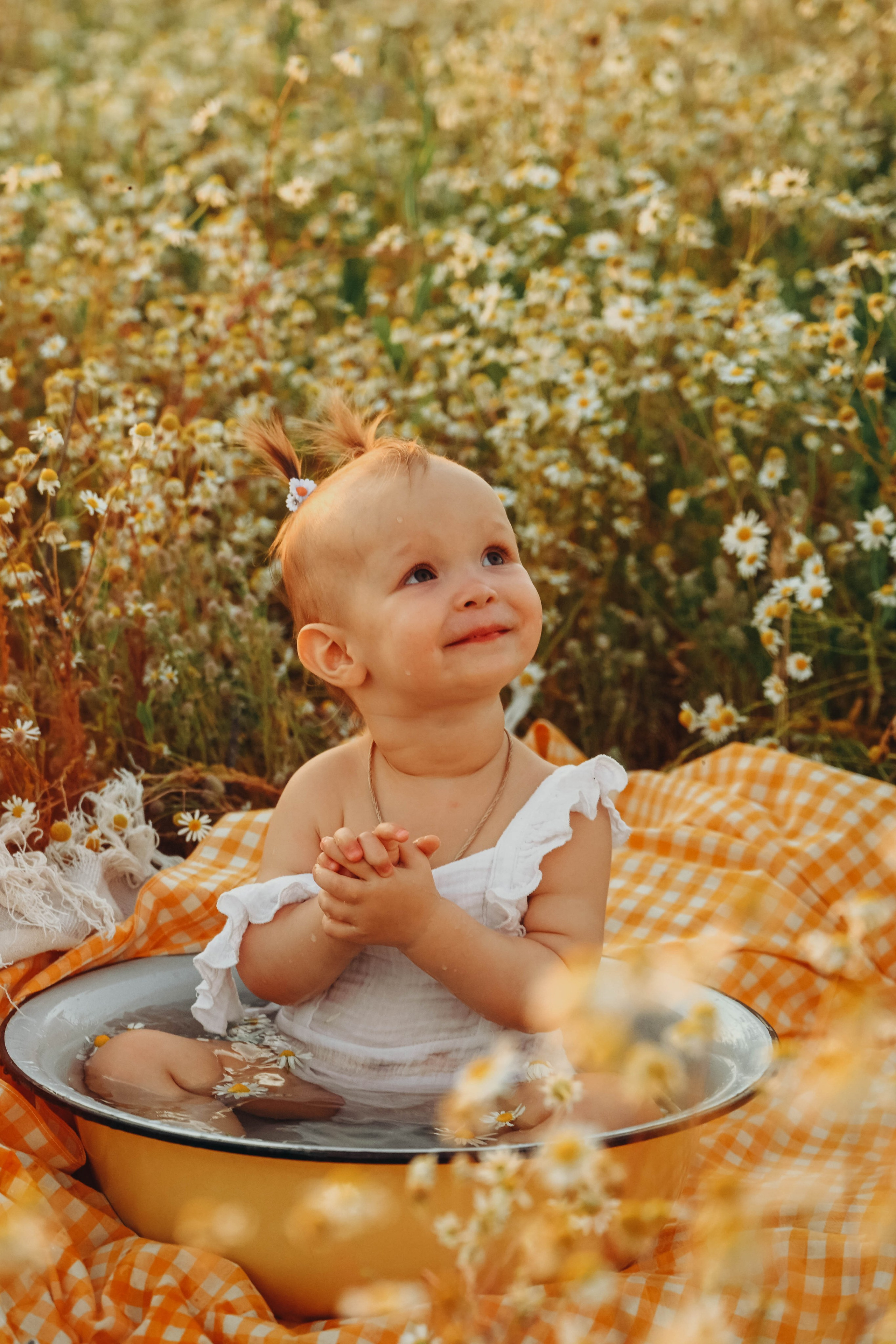 Ромашковое поле. Семейный фотограф в Москве Люберцах Ирина Вронская