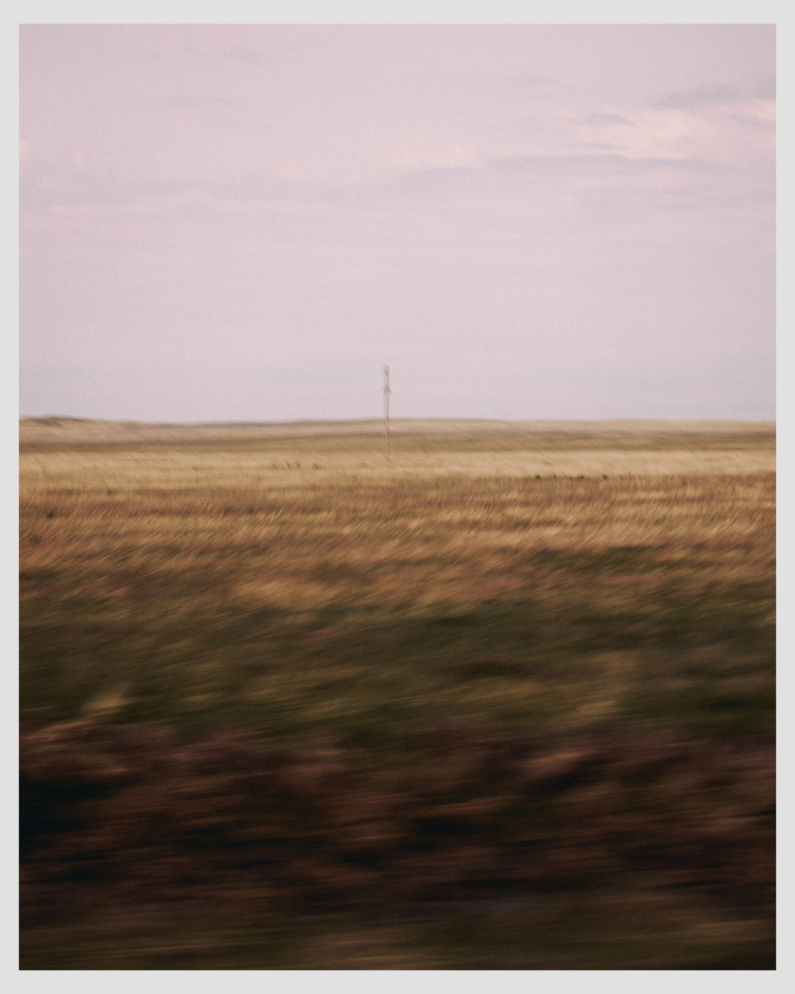 THE STEPS. Ivan Petrov photographer