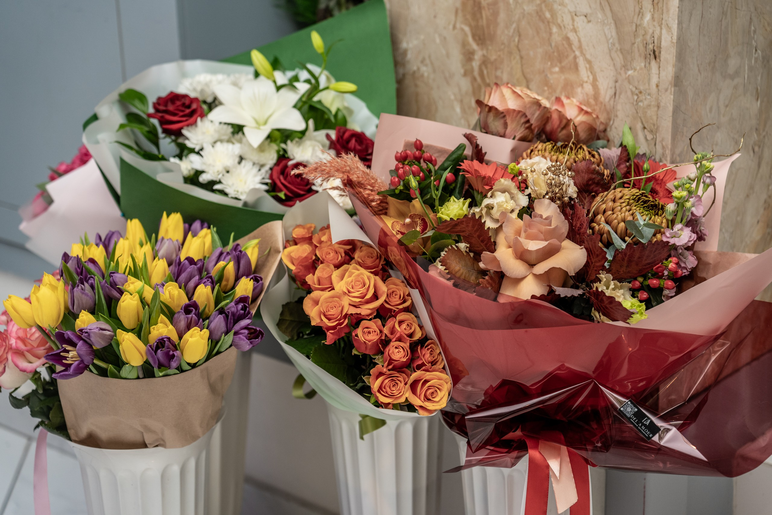 День рождения Софии