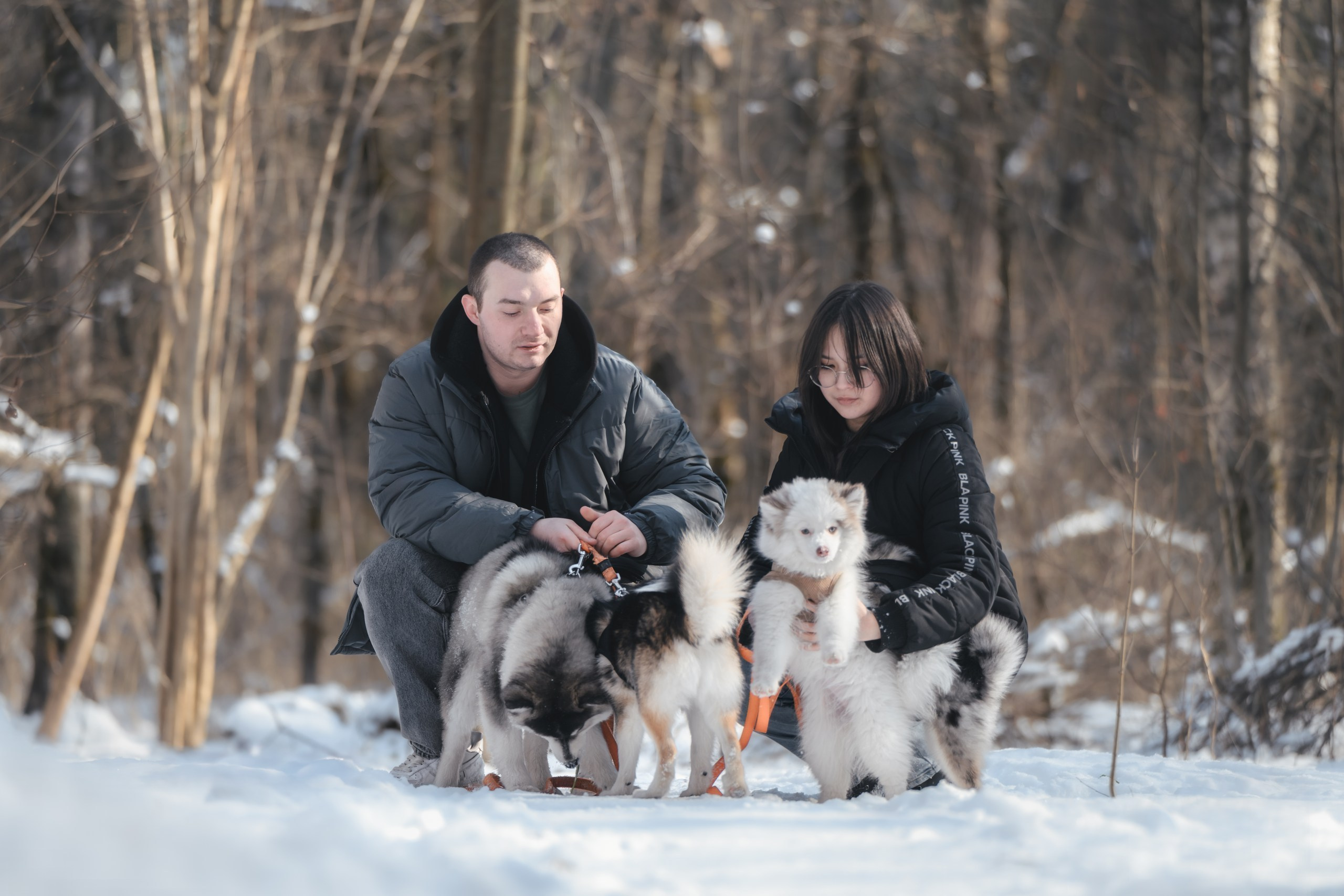 Виктория и 4 помски. Фотограф Анималист в Москве Анастасия Жучкова