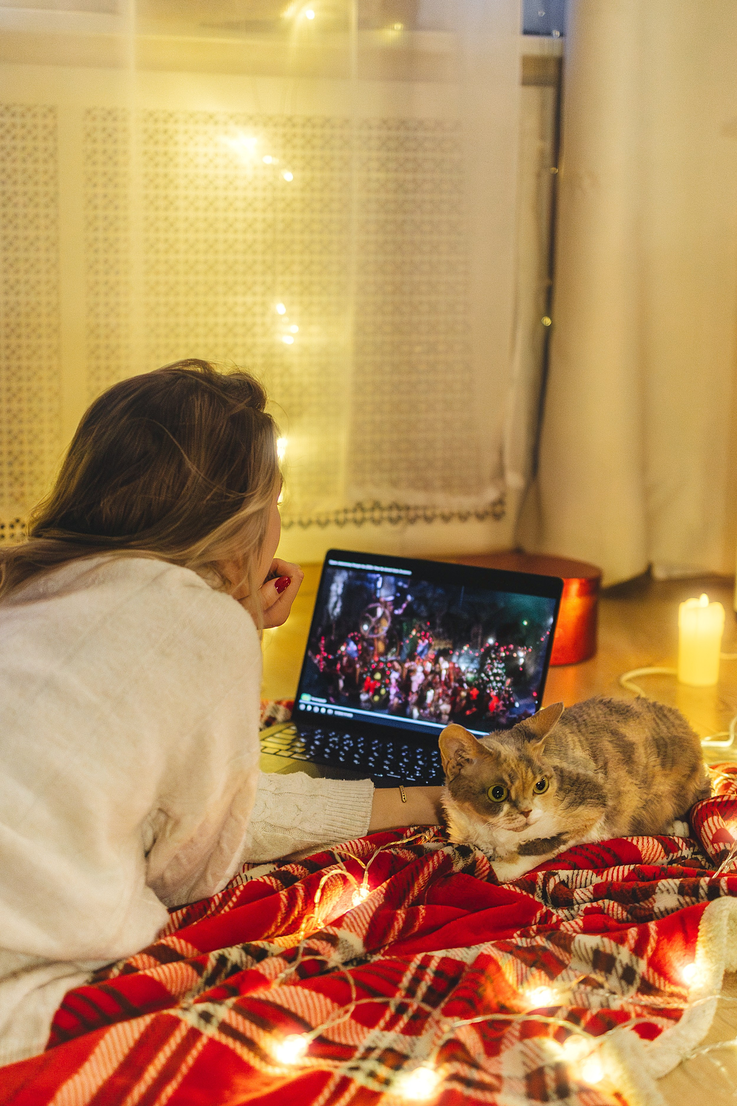 Домашняя новогодняя. Фотограф Анималист в Москве Анастасия Жучкова