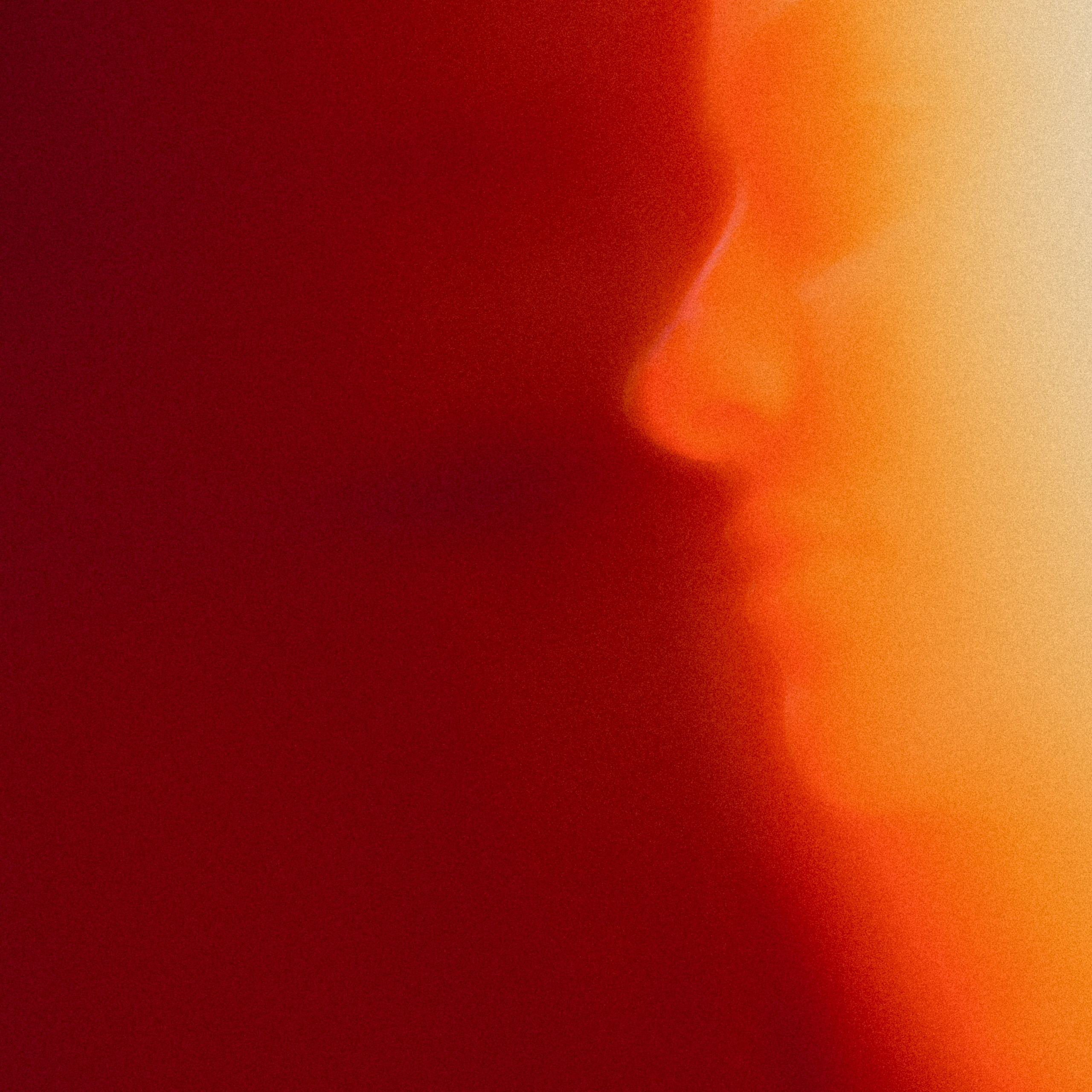 Personality. VISUAL ARTIST · KRONGAUZ ANASTASIA