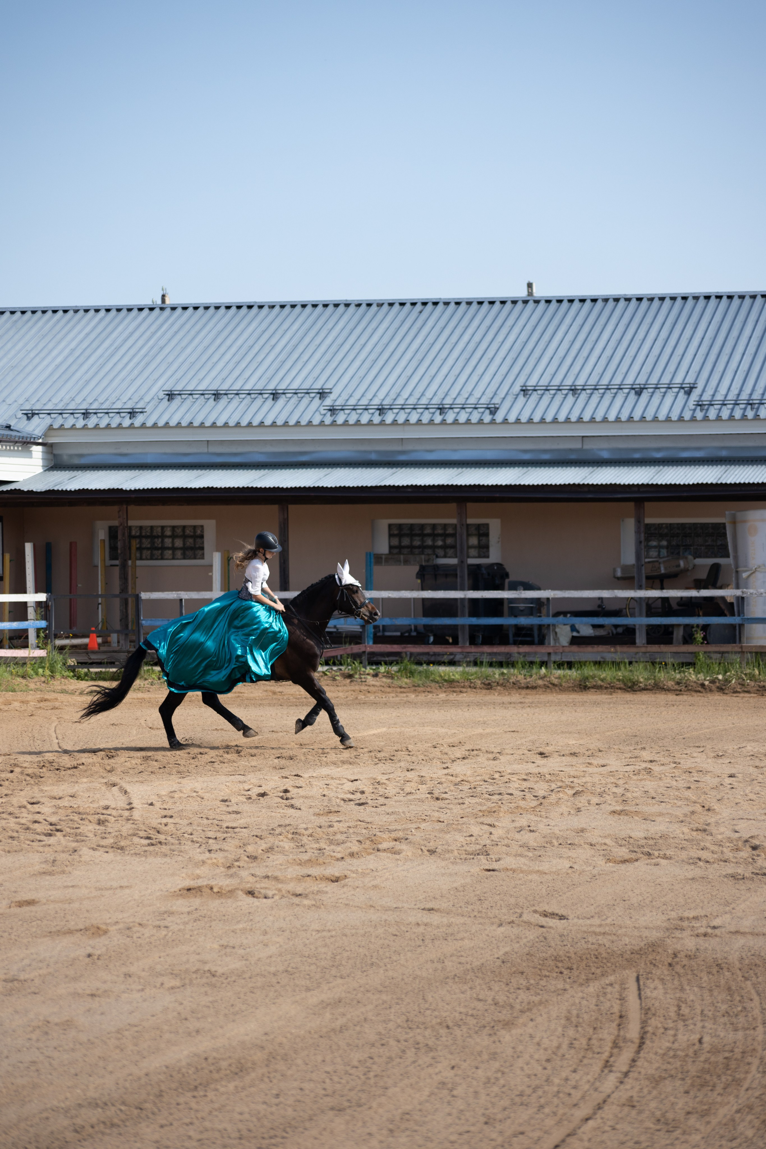 Конюшня. Фотограф в Москве и Истре